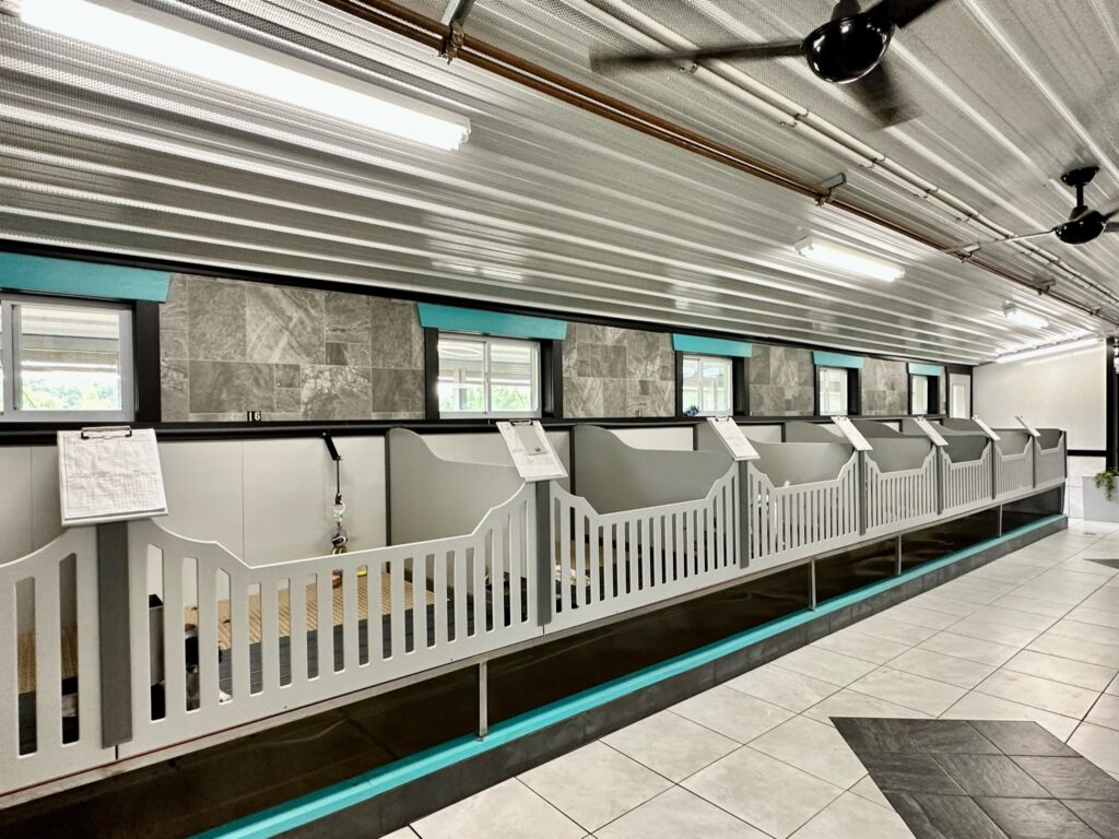 Sleek and clean interior of a dog kennel