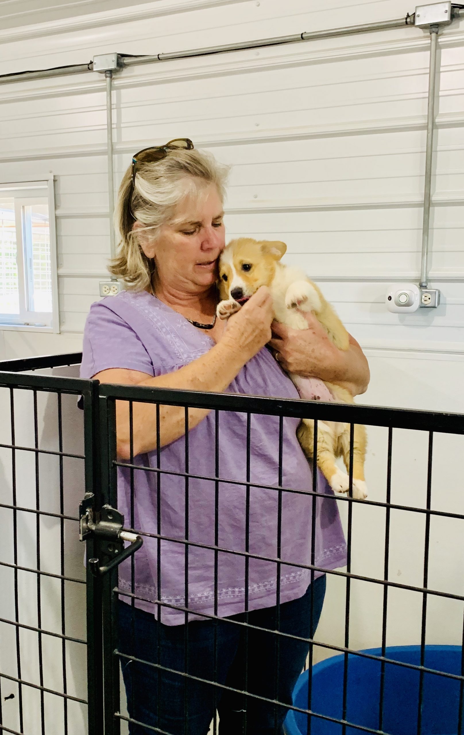 Nancy with one of her Corgi puppies