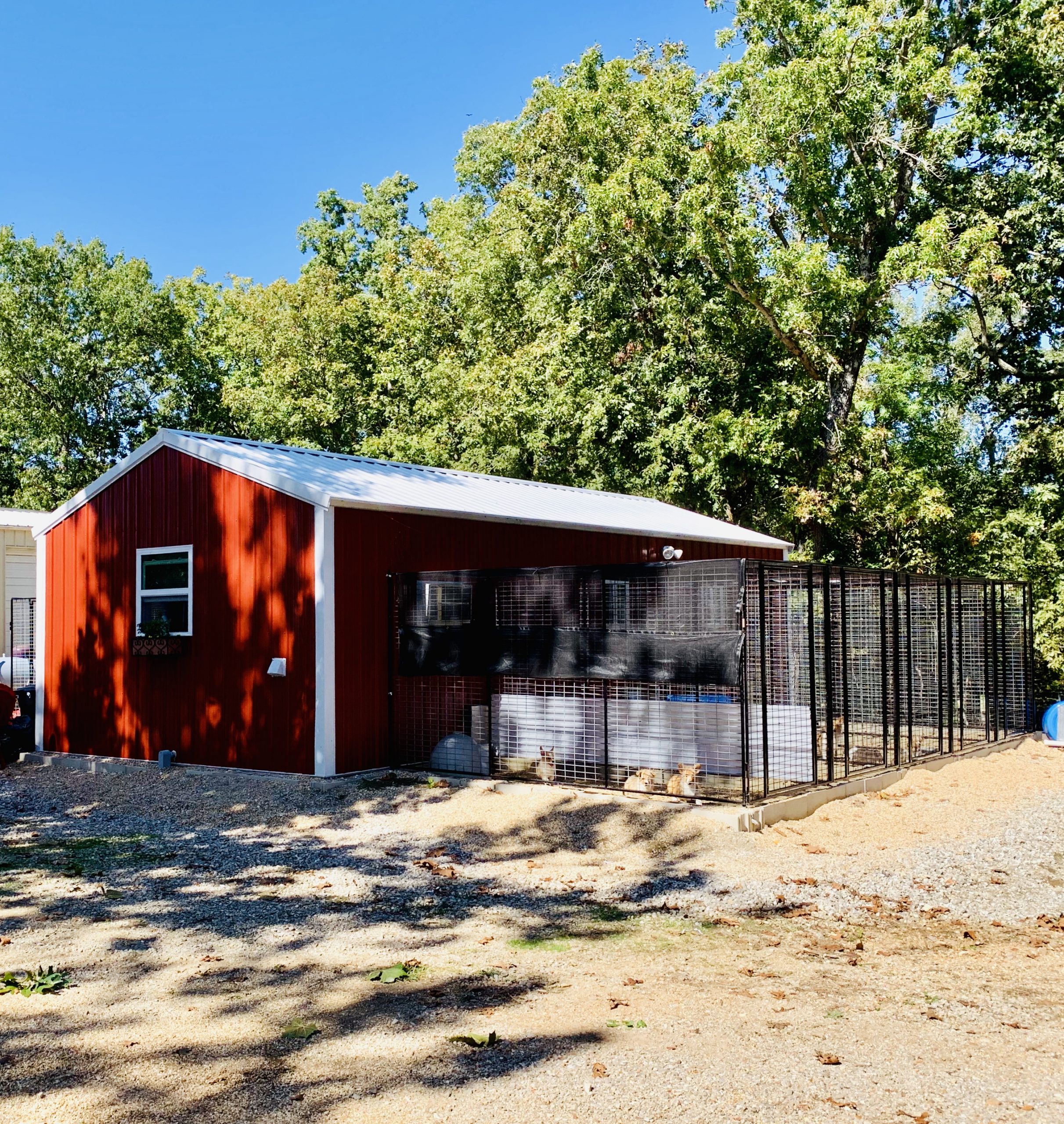 A view of Nancy's kennel