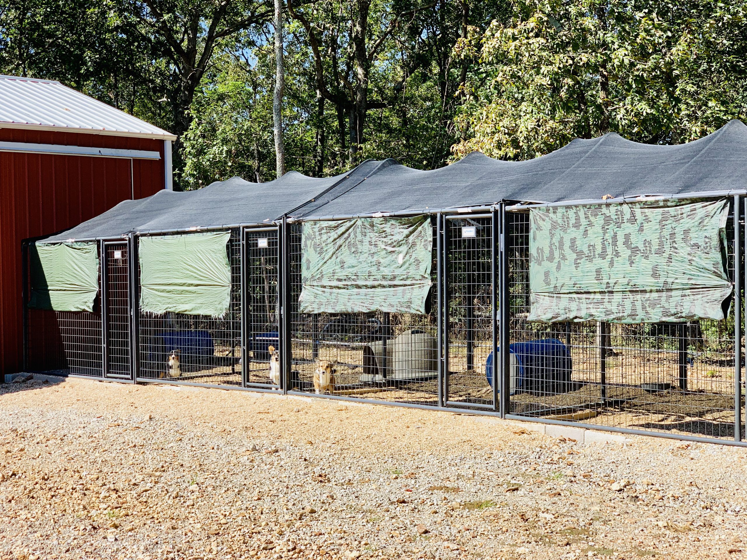 A view of Nancy's kennel