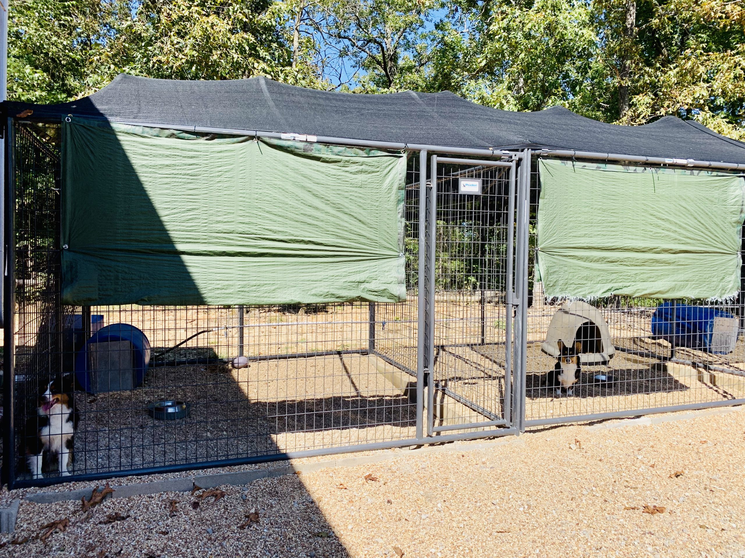 A view of Nancy's kennel