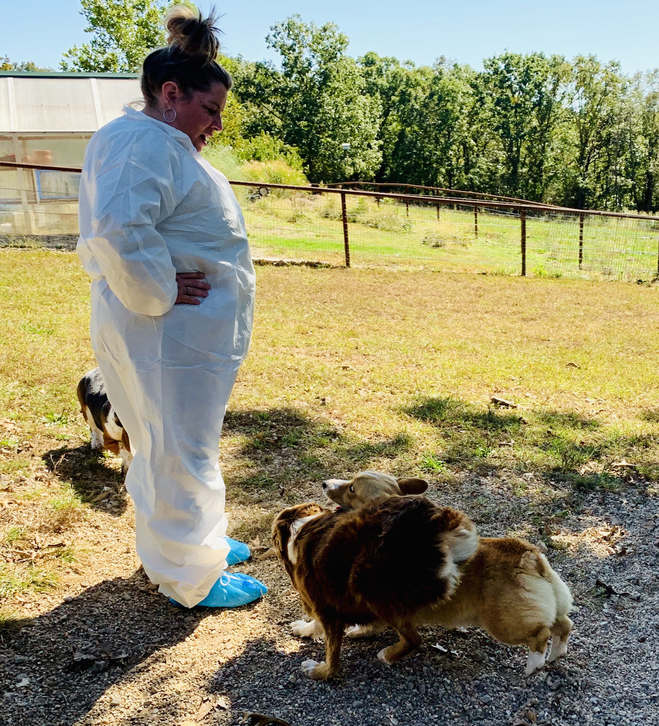 CPI employee interacting with some of Nancy's dogs