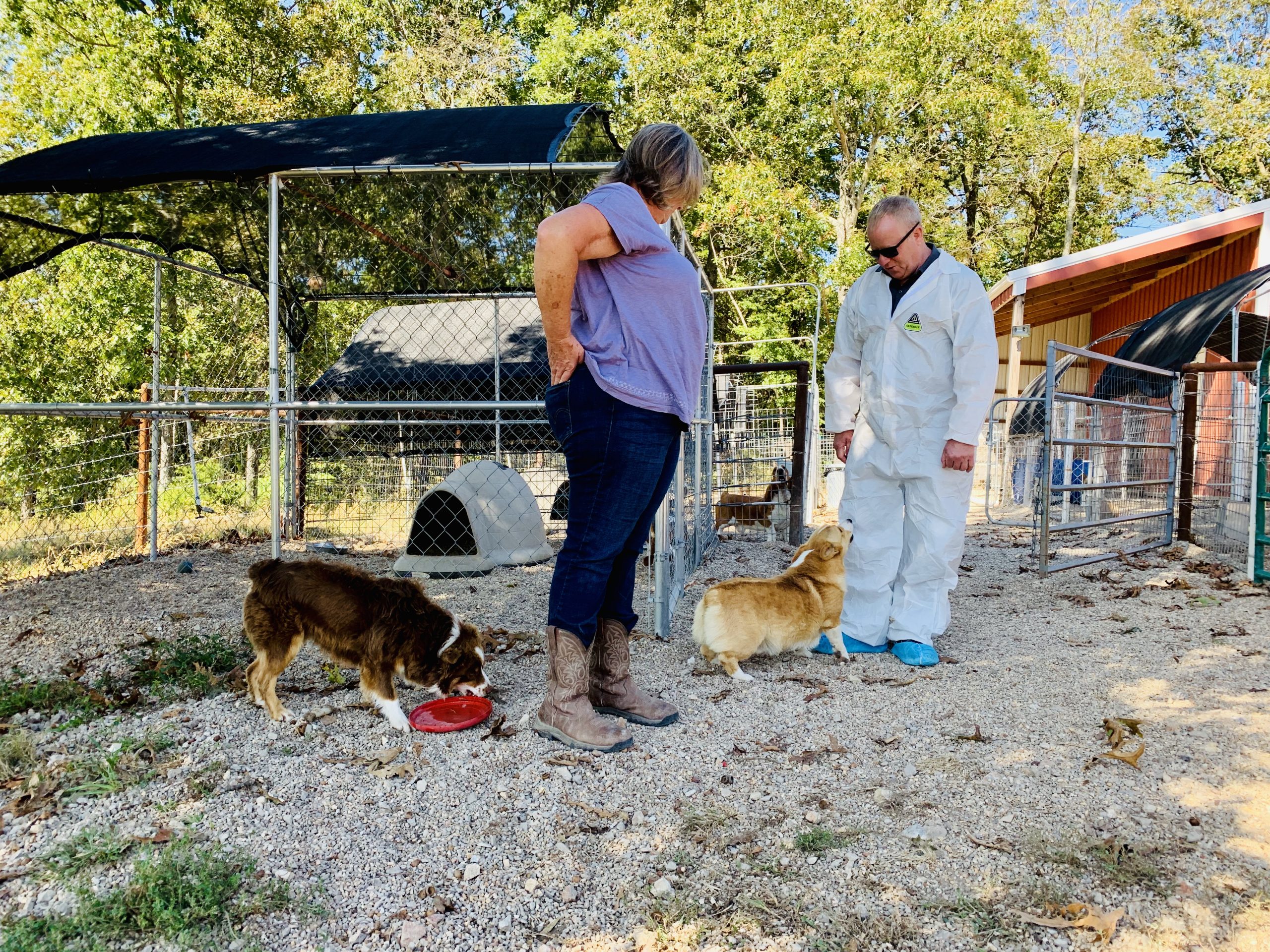 Nancy and Frank Mineo Jr interacting with dogs