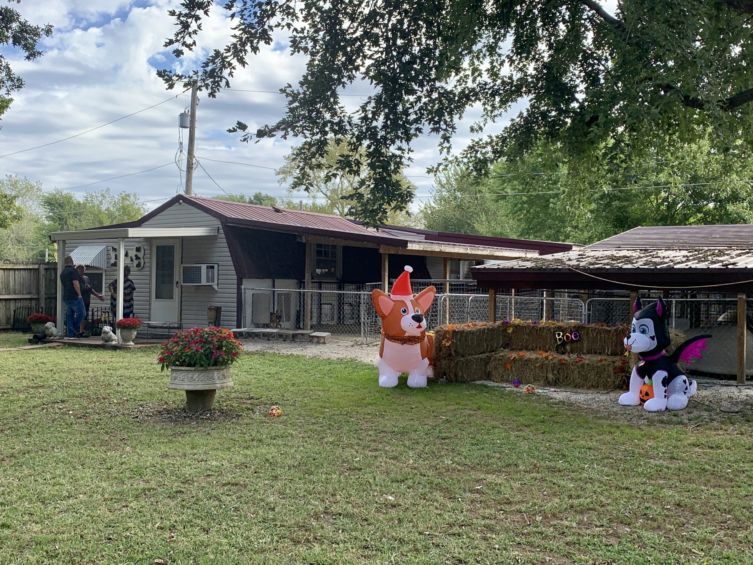 Becky's kennel buildings