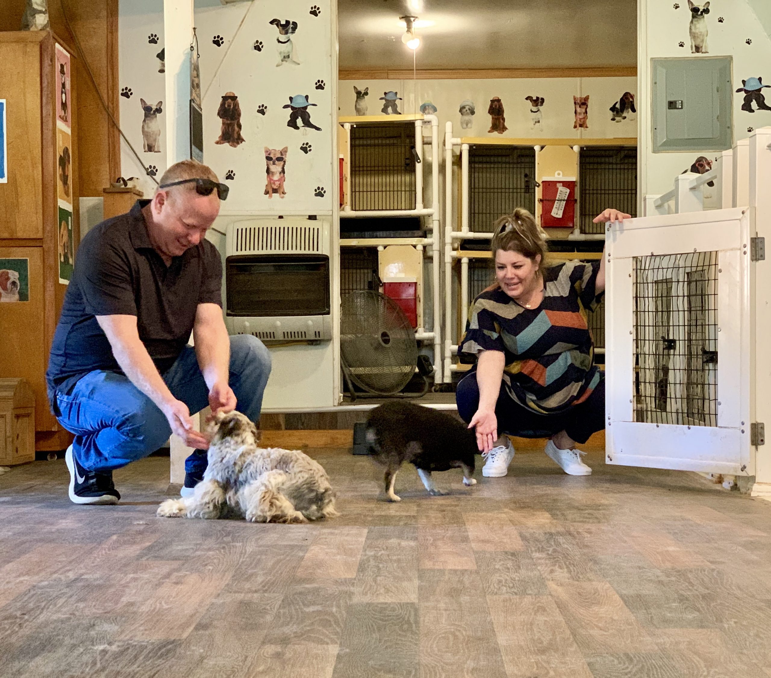 Frank Mineo Jr playing with puppies