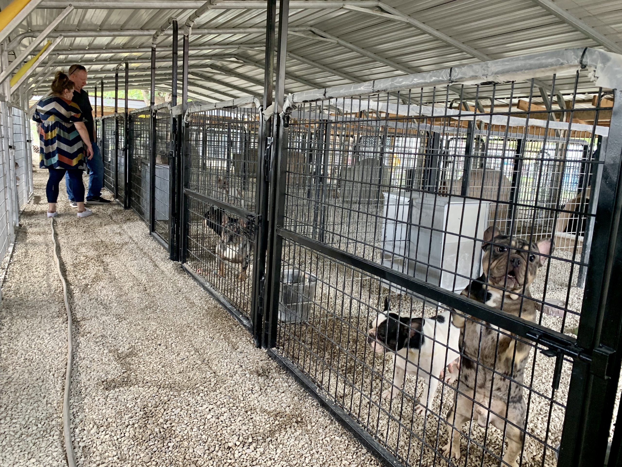 A view of Becky's kennels