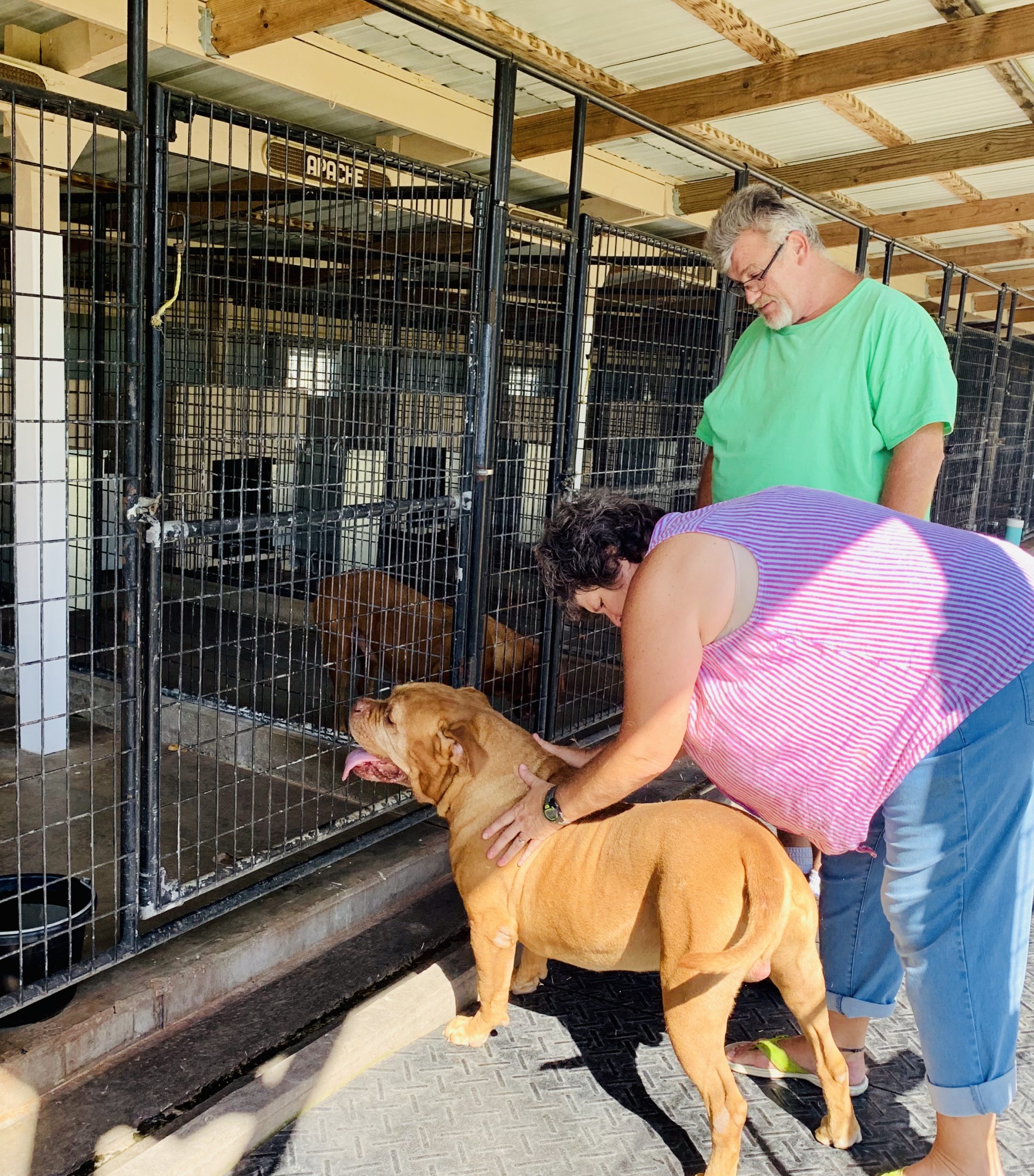 Indoor/outdoor kennels