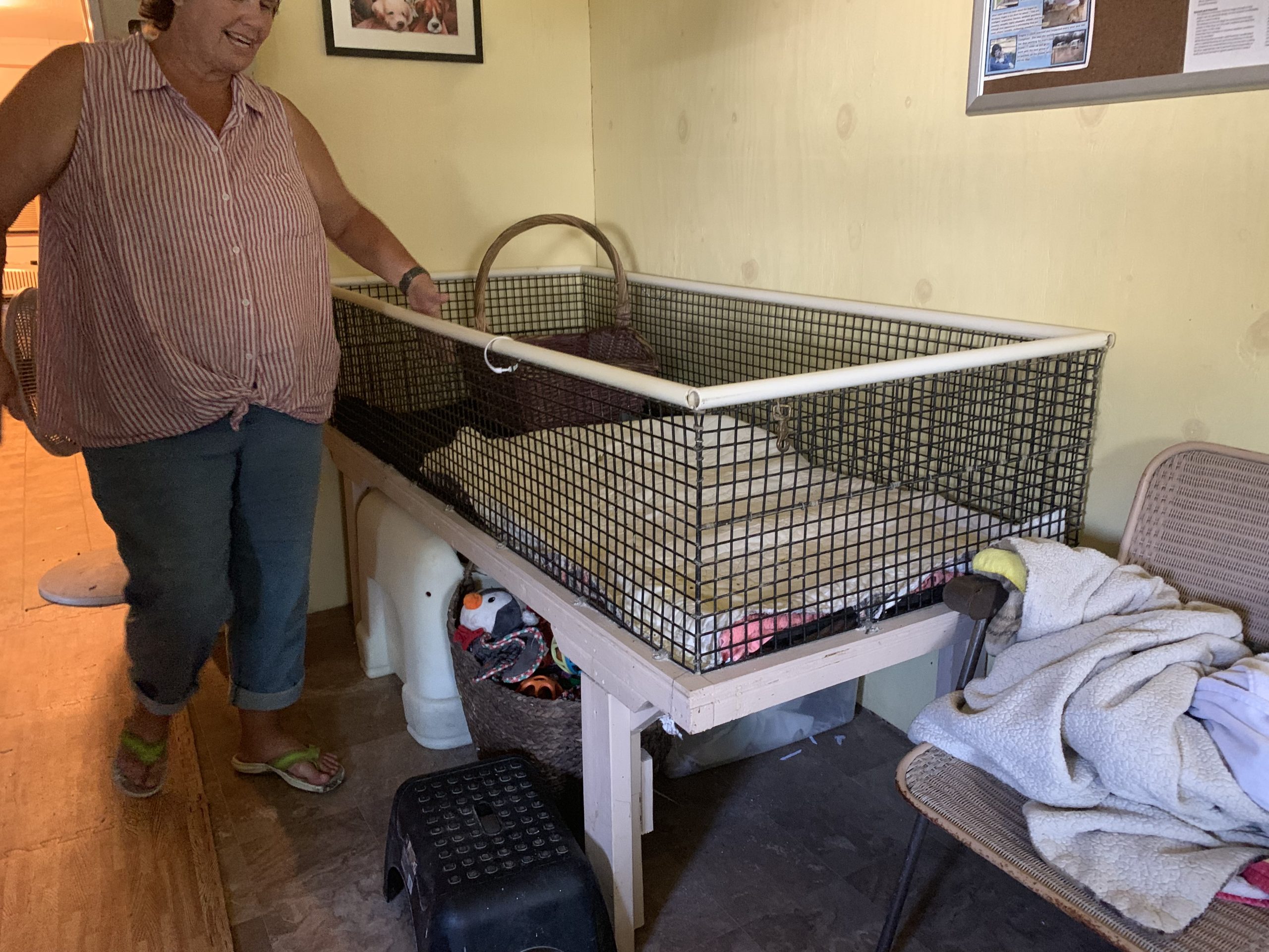 Indoor whelping pen