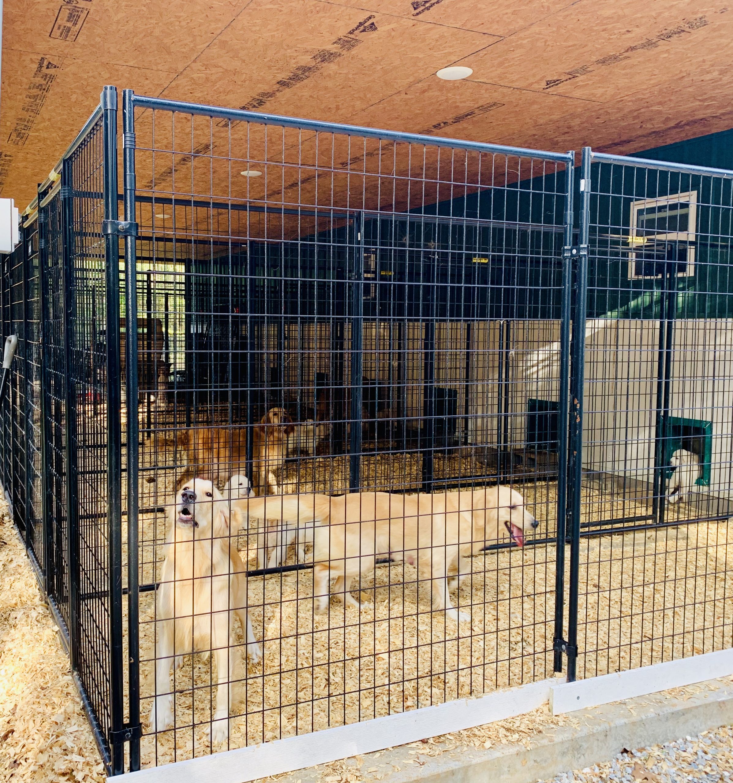 Indoor/outdoor kennels