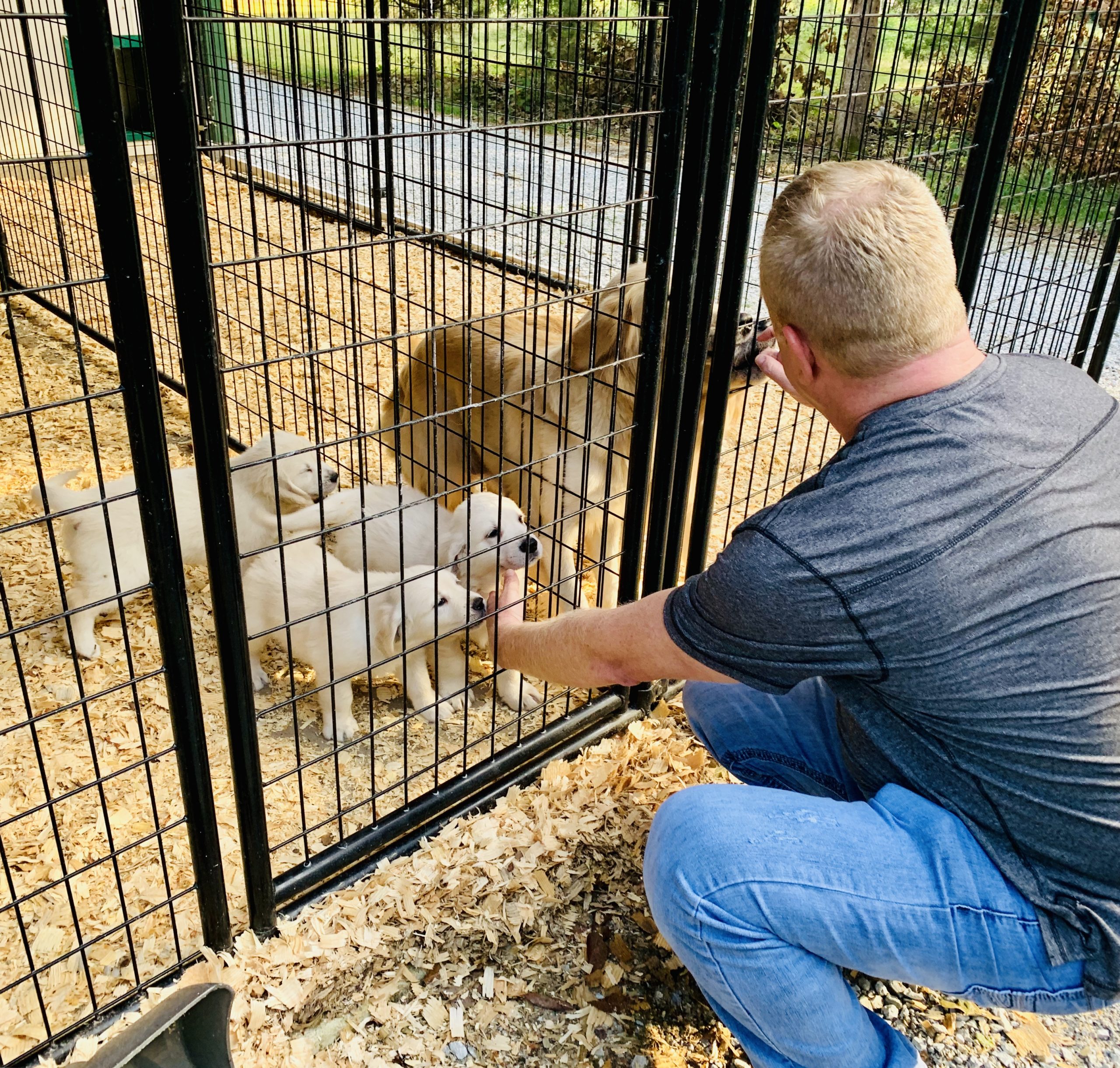 Owner Frank Mineo Jr. on Fall 2019 breeder inspection trip