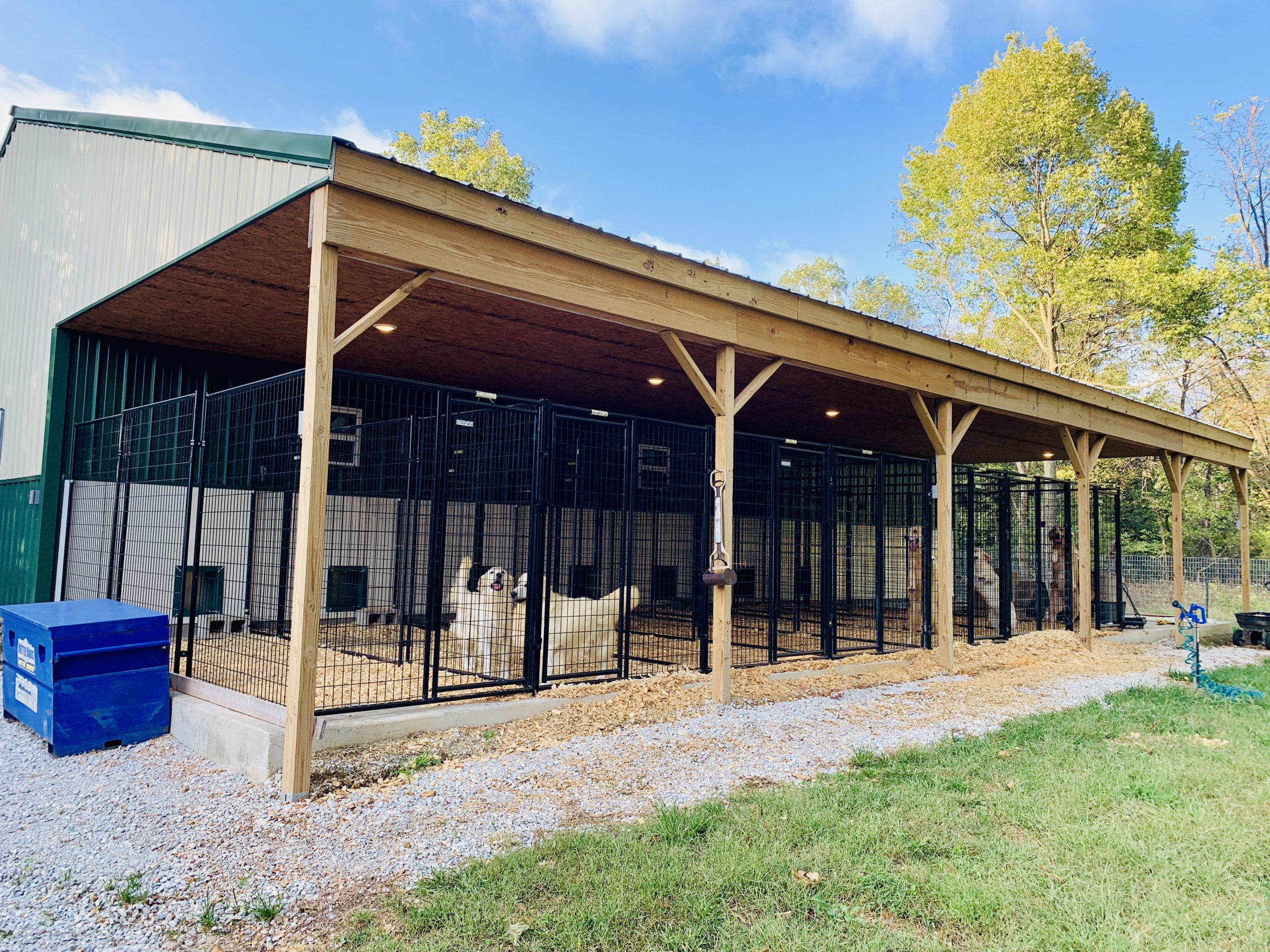 Outside shot of kennels