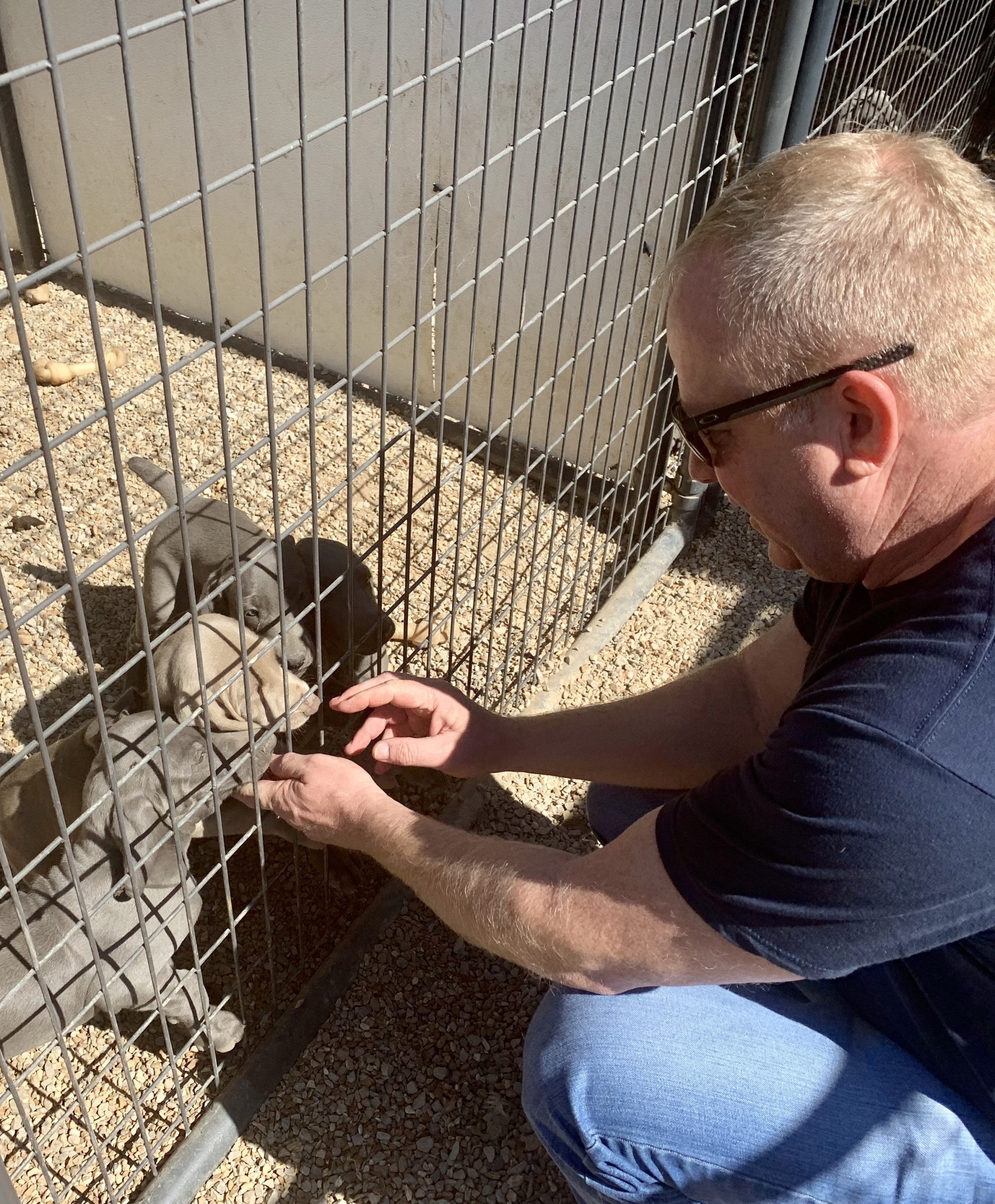 CPI owner greeting a group of Cindy\'s puppies