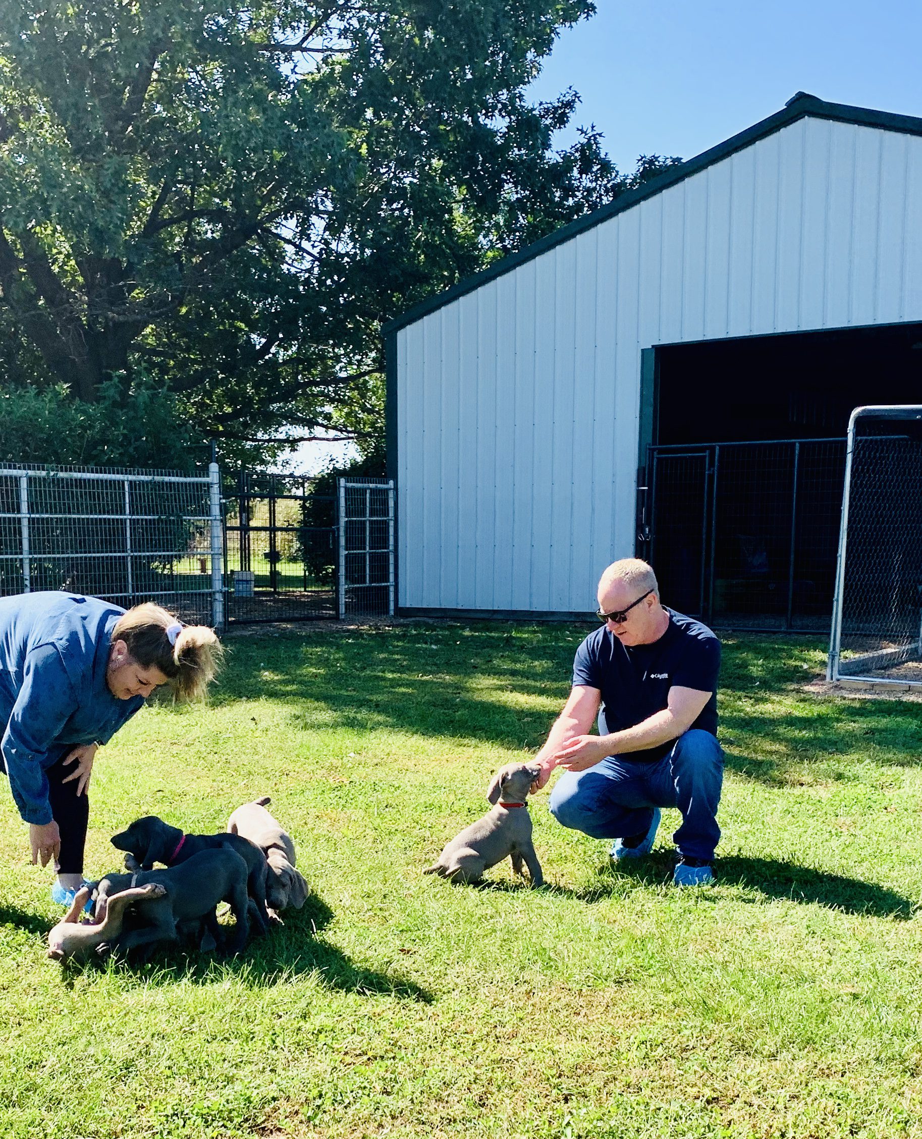 CPI owner and employee play with a group of Cindy\'s puppies