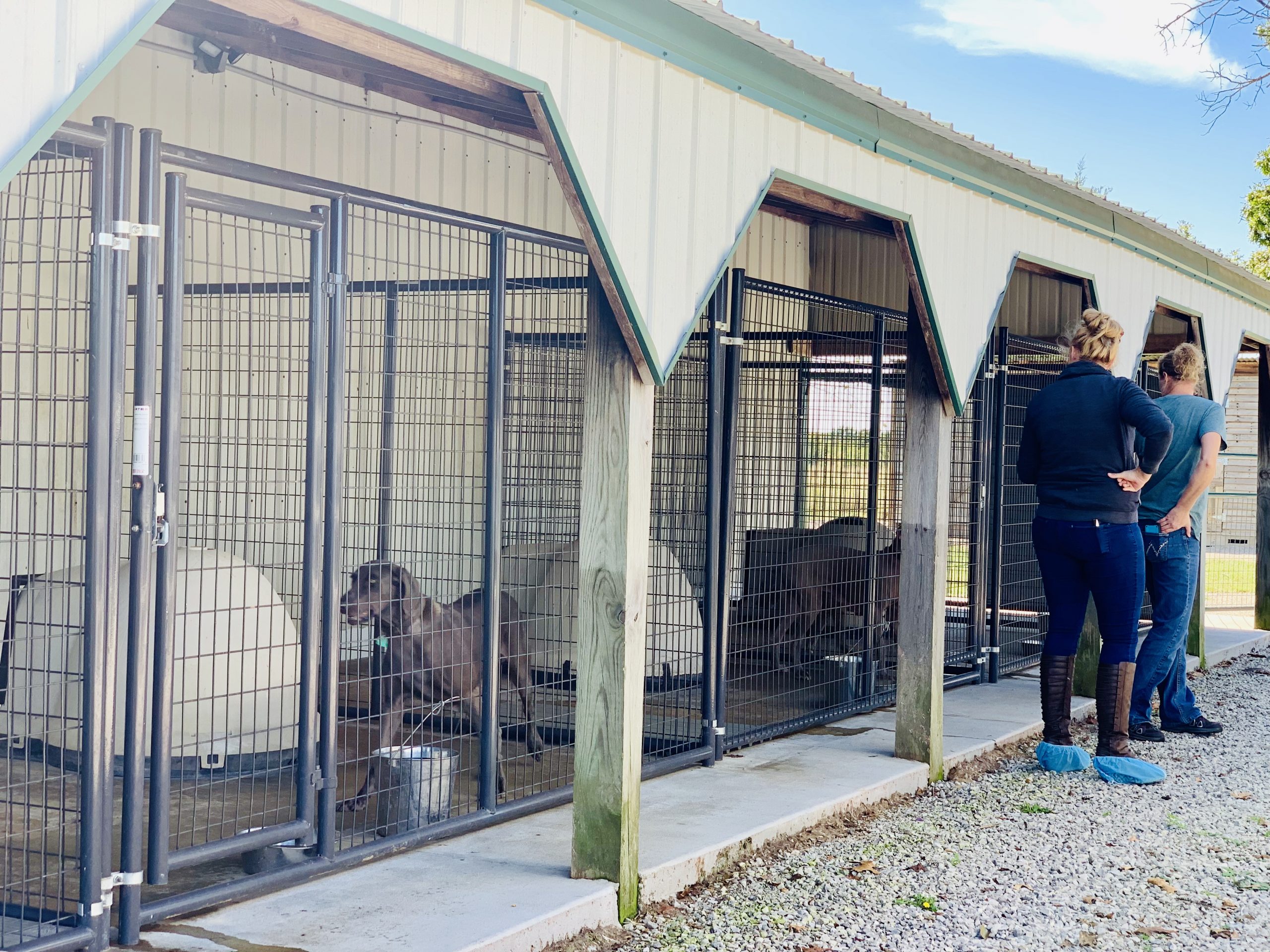 Another view of Cindy\'s kennel