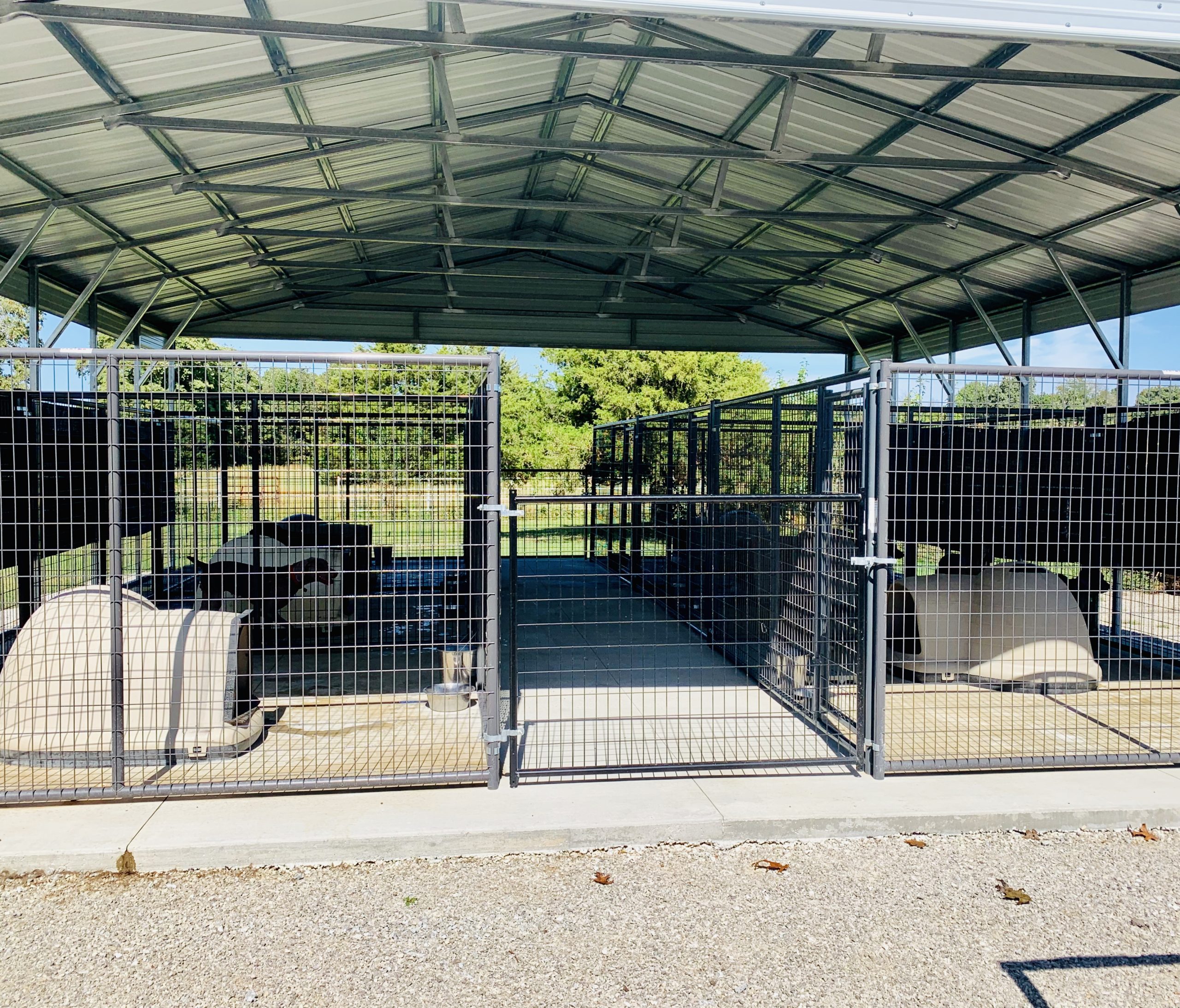 Another view of Cindy\'s kennel