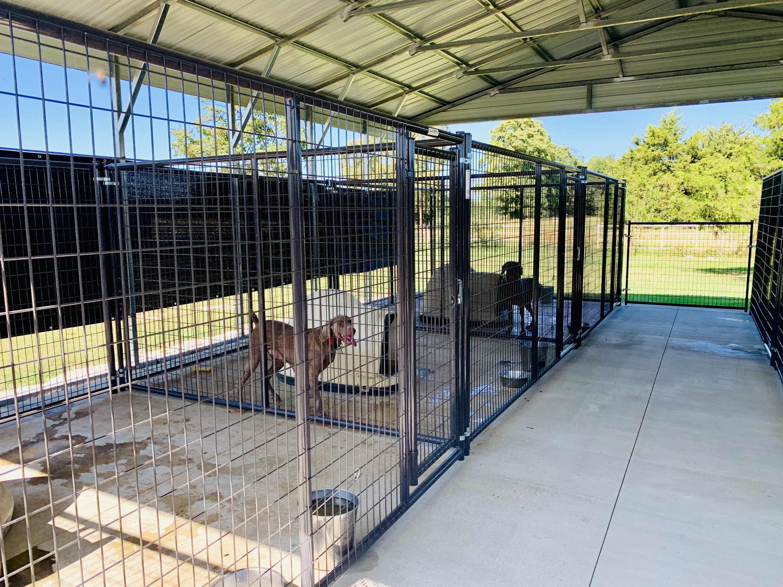 View of Cindy\'s kennel