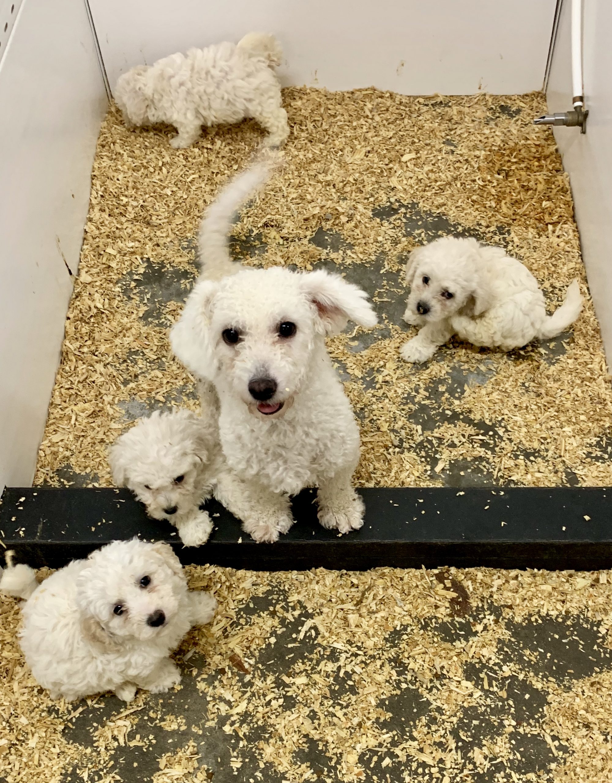 Proud mommy with babies