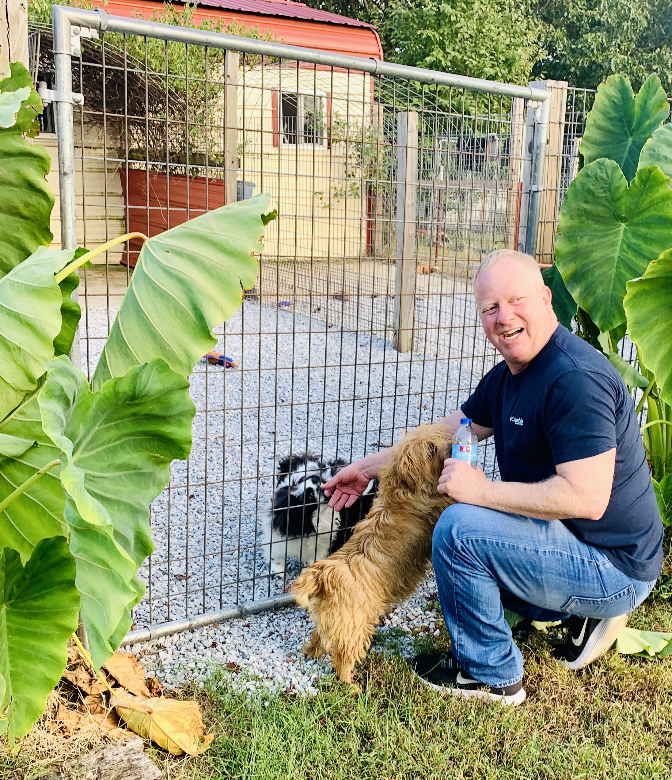 Frank Mineo Jr. interacts with one of Judy's dogs