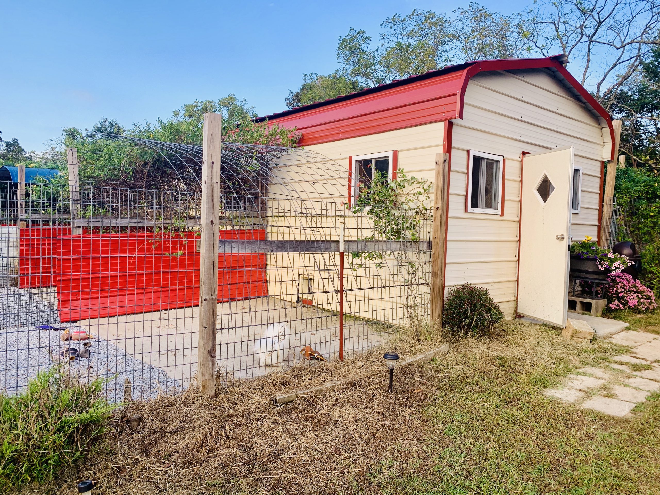 A view of Judy's kennel