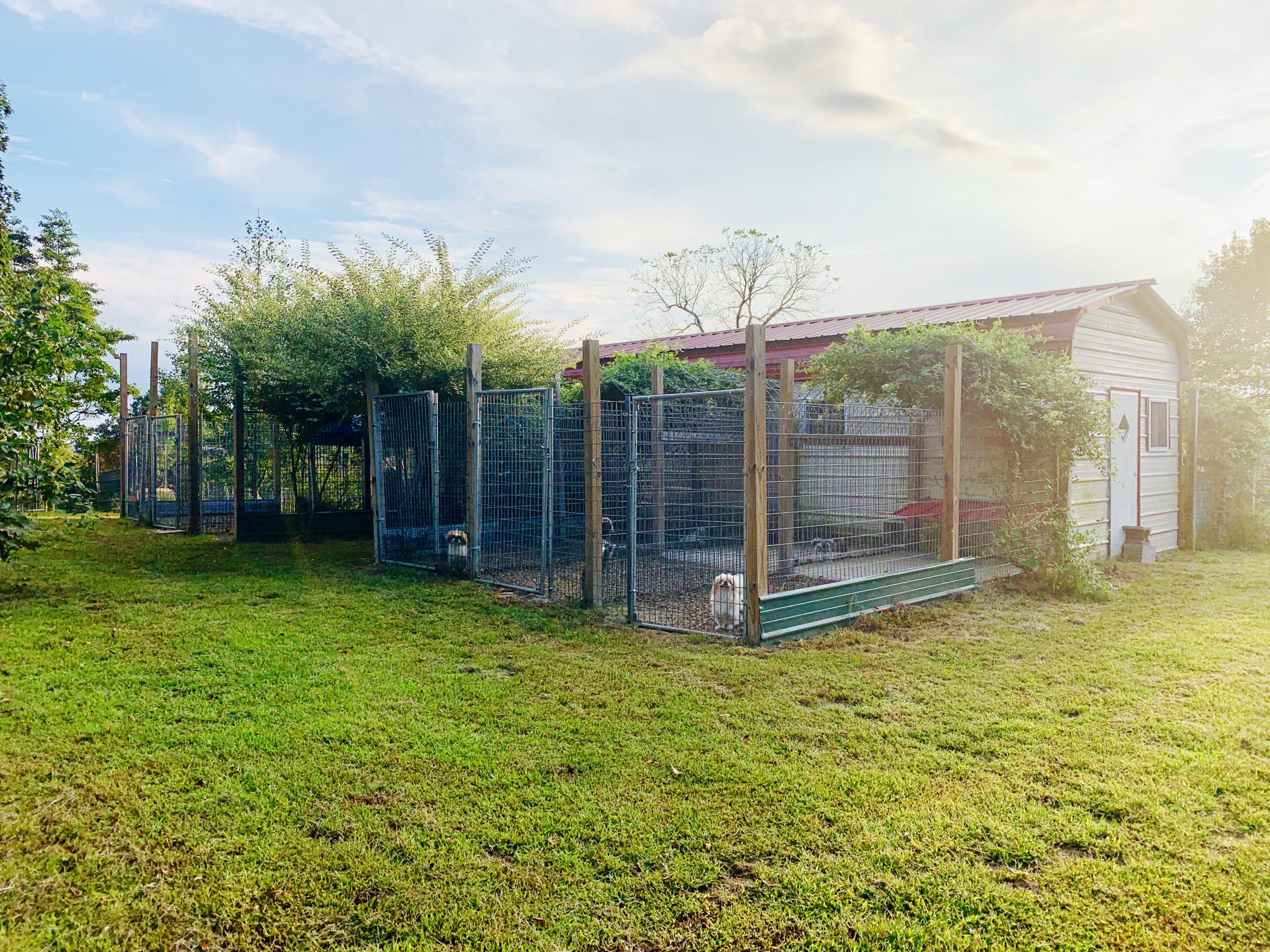 A view of Judy's kennel