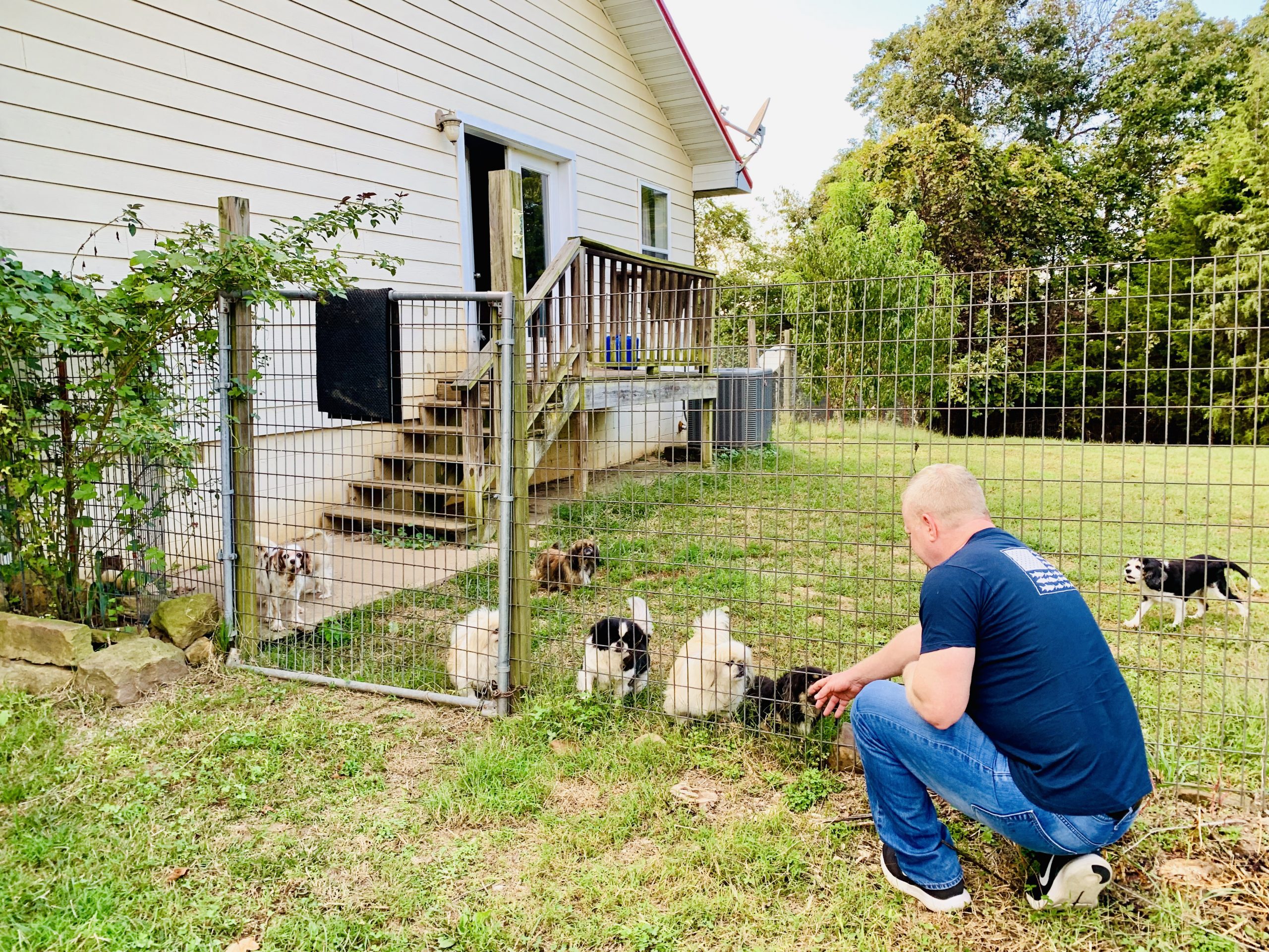 Frank Mineo Jr. interacts with one of Judy's dogs