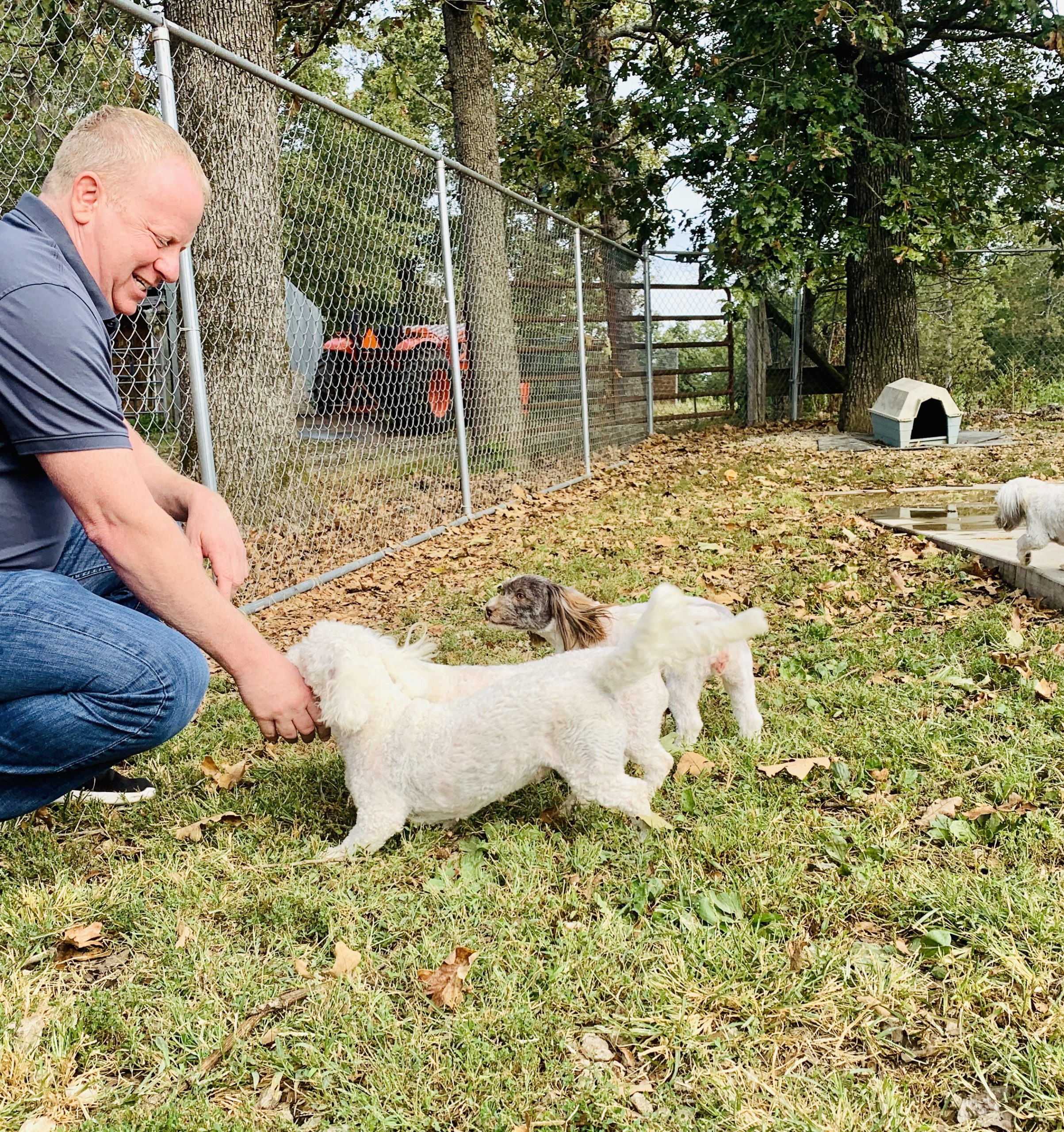 Frank Mineo Jr interacts with some of Kelley's dogs