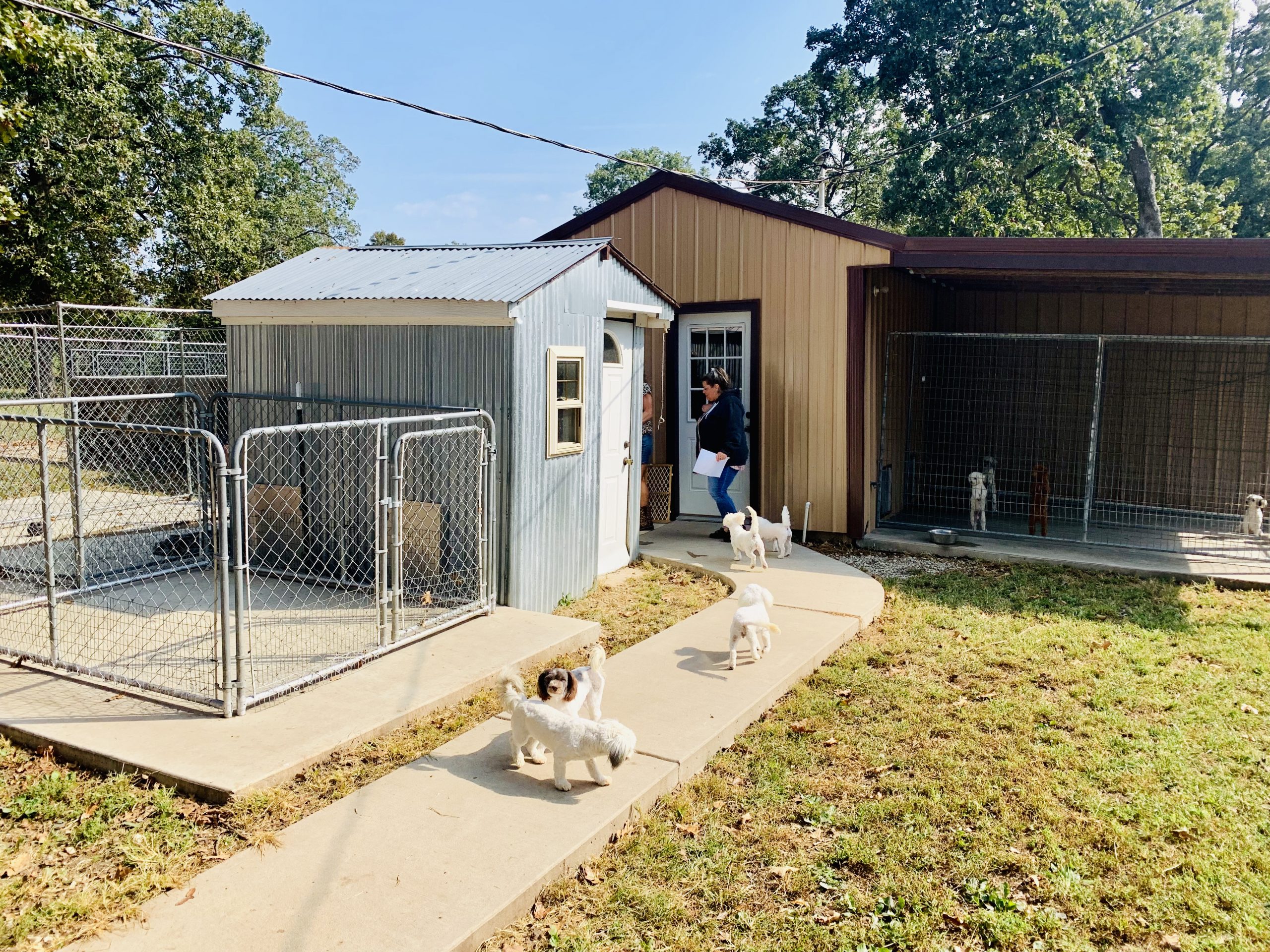 A view of Kelley's kennel