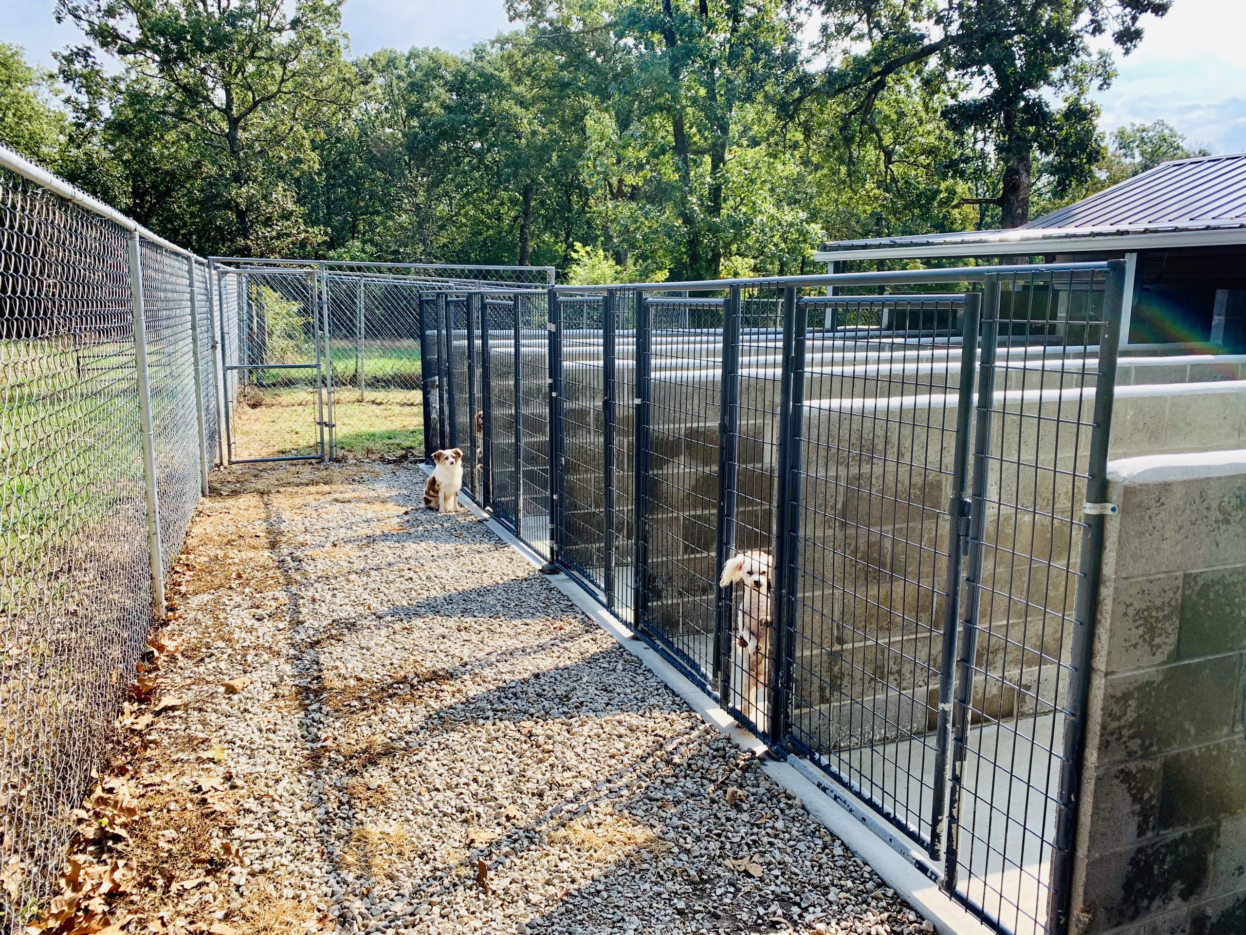 A view of Kelley's kennel