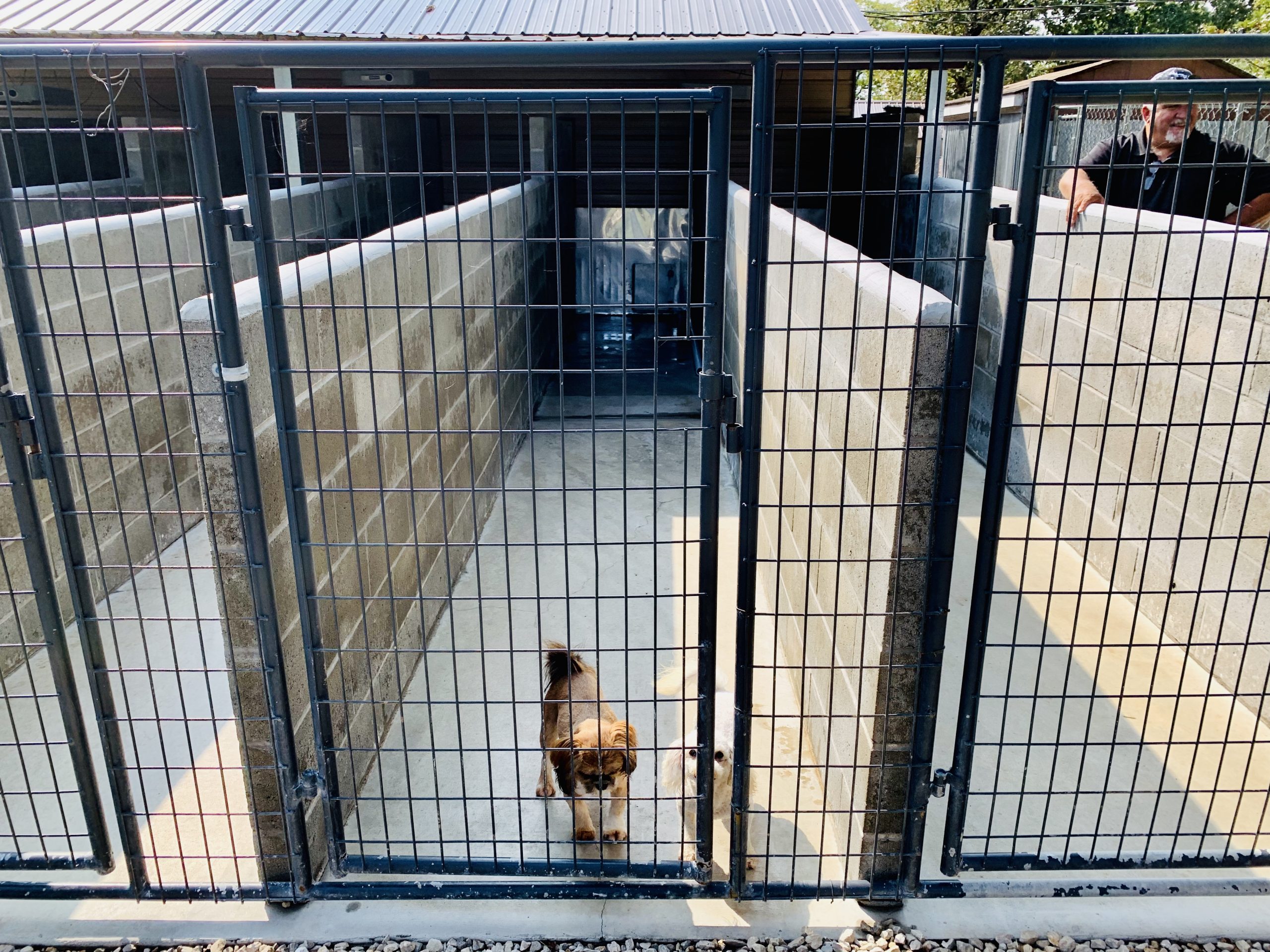 A view of Kelley's kennel