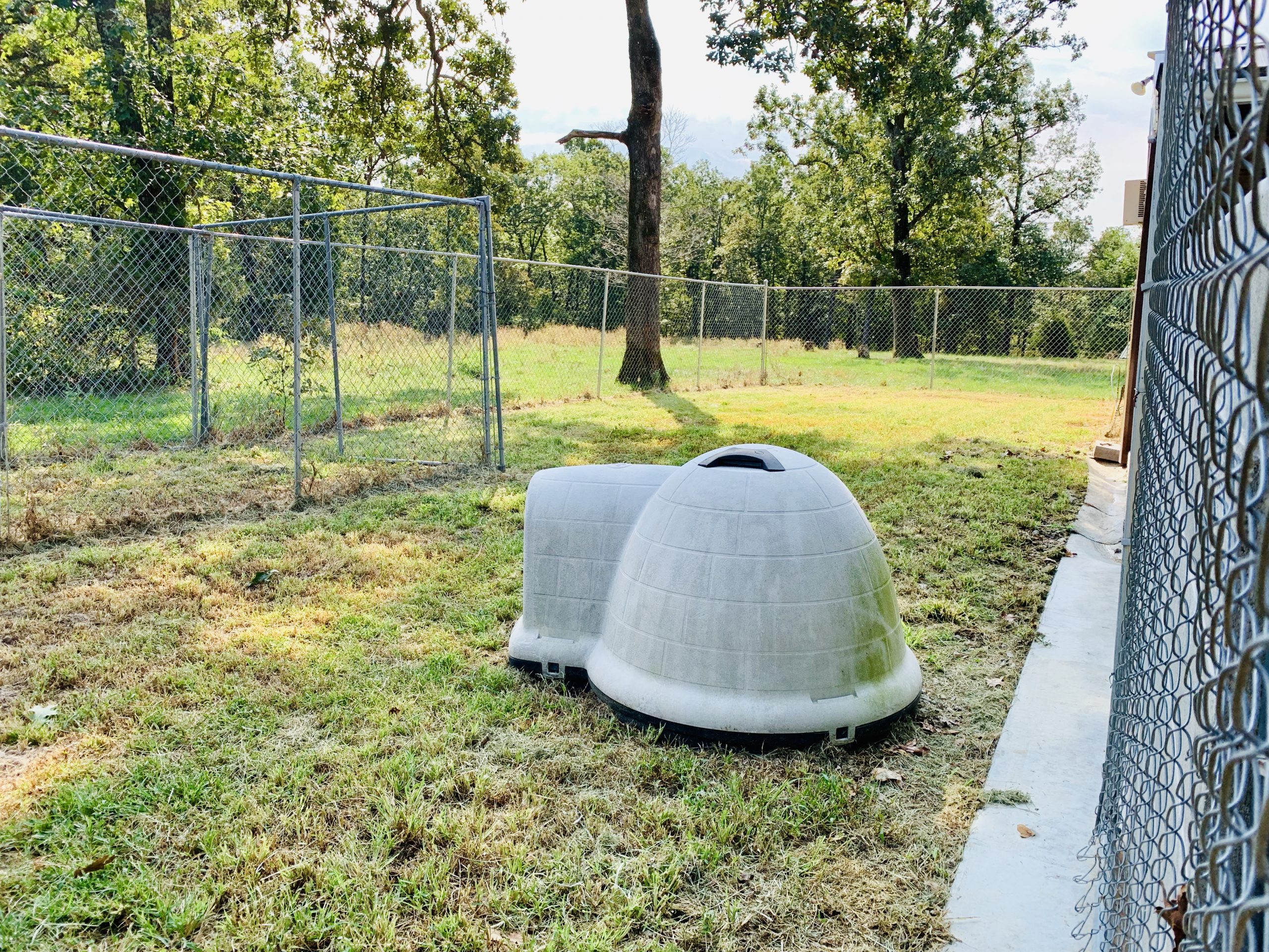 Exercise yard for Kelley's dogs