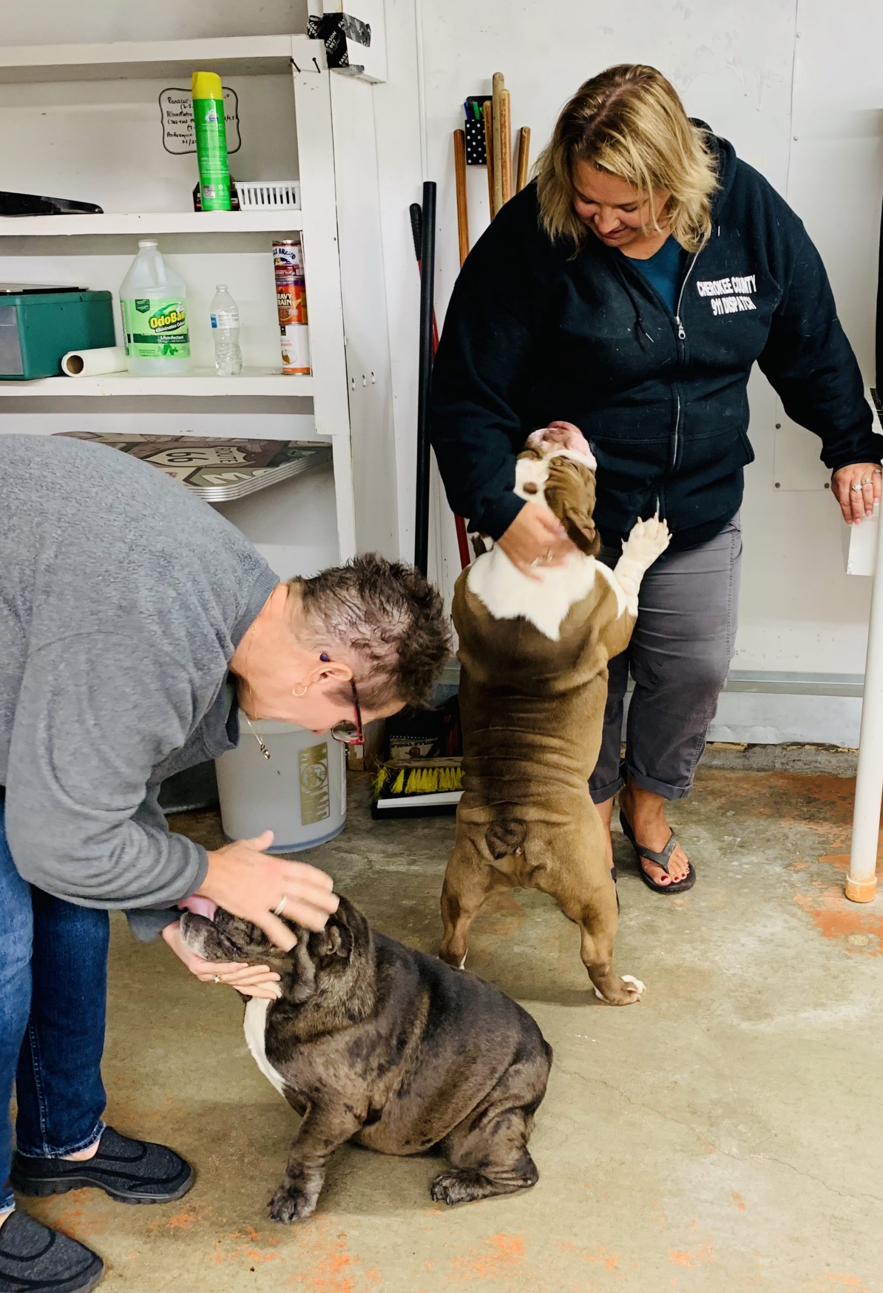 Breeders and their dogs