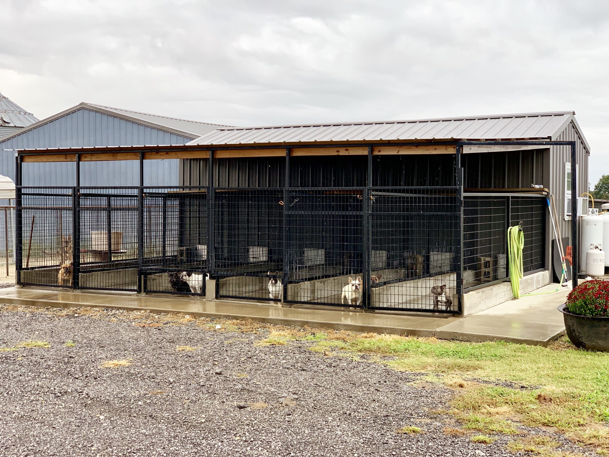 Exterior of kennels