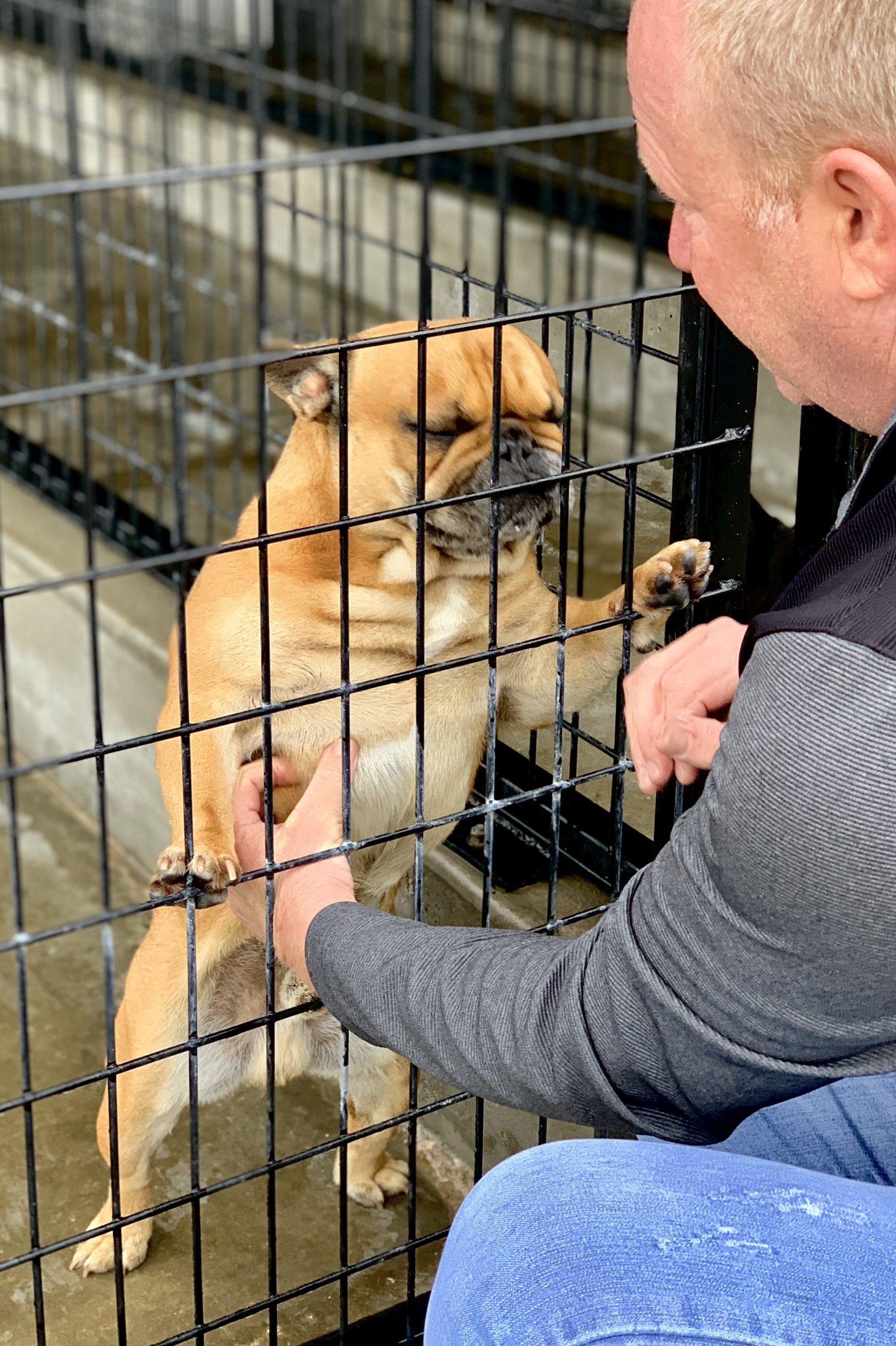 Frank Mineo jr. and adult dog