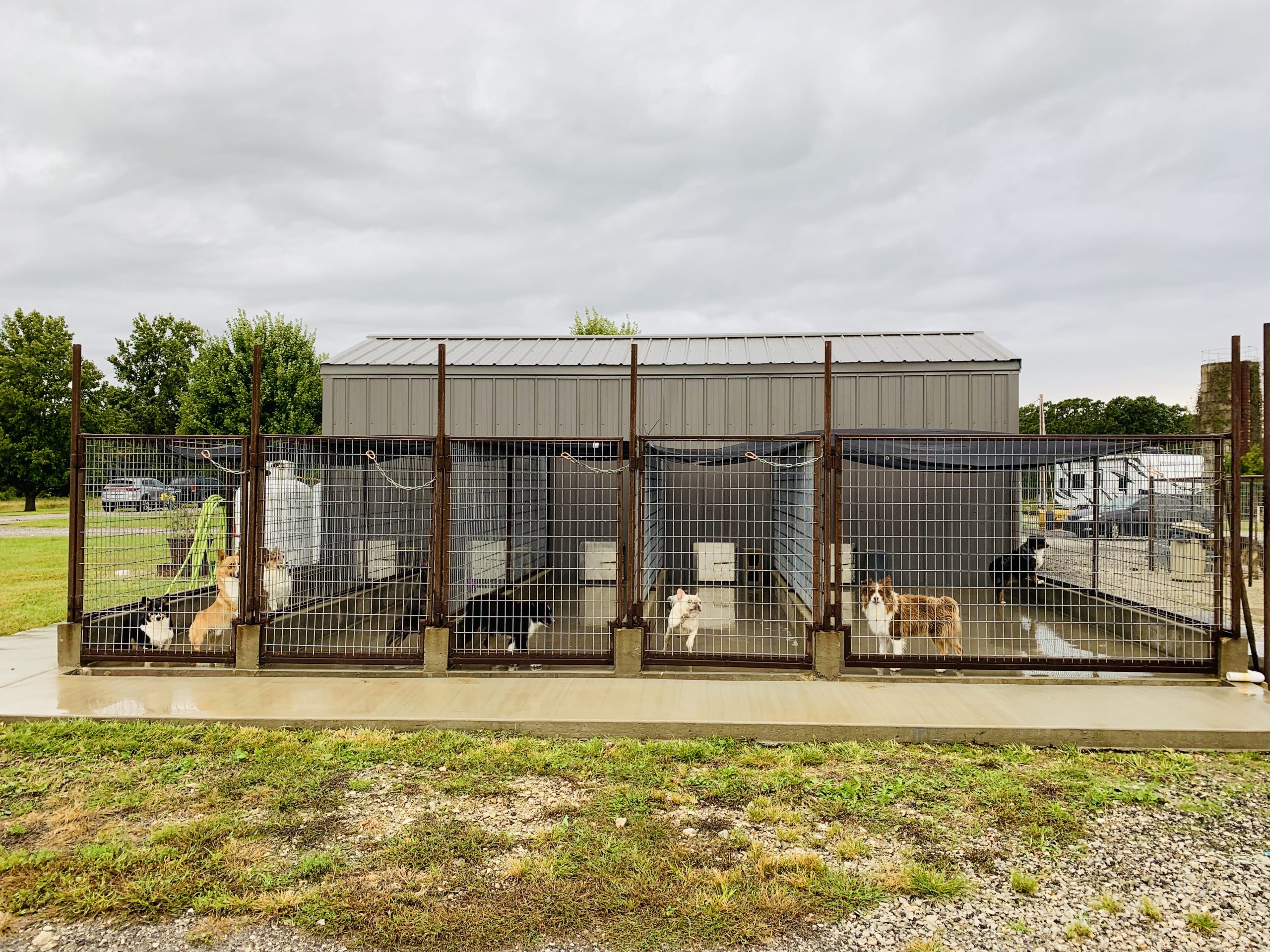 Outside look at kennels