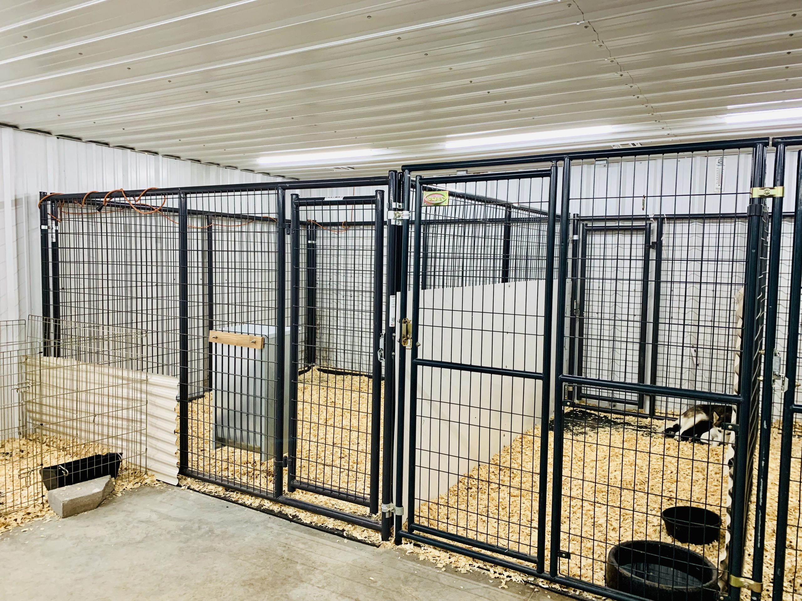 Kennel interior