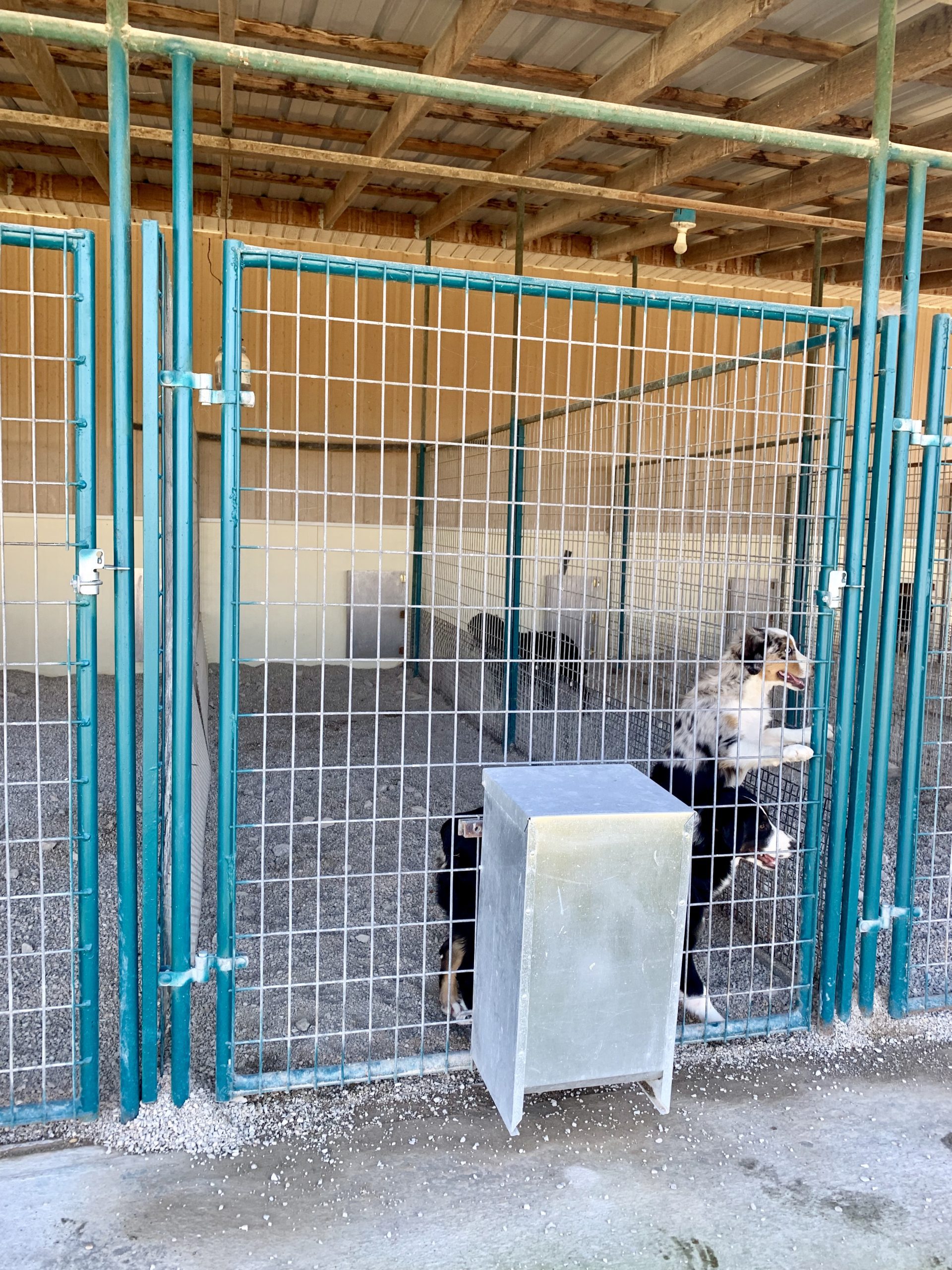 A view of Tim and Lisa's kennel