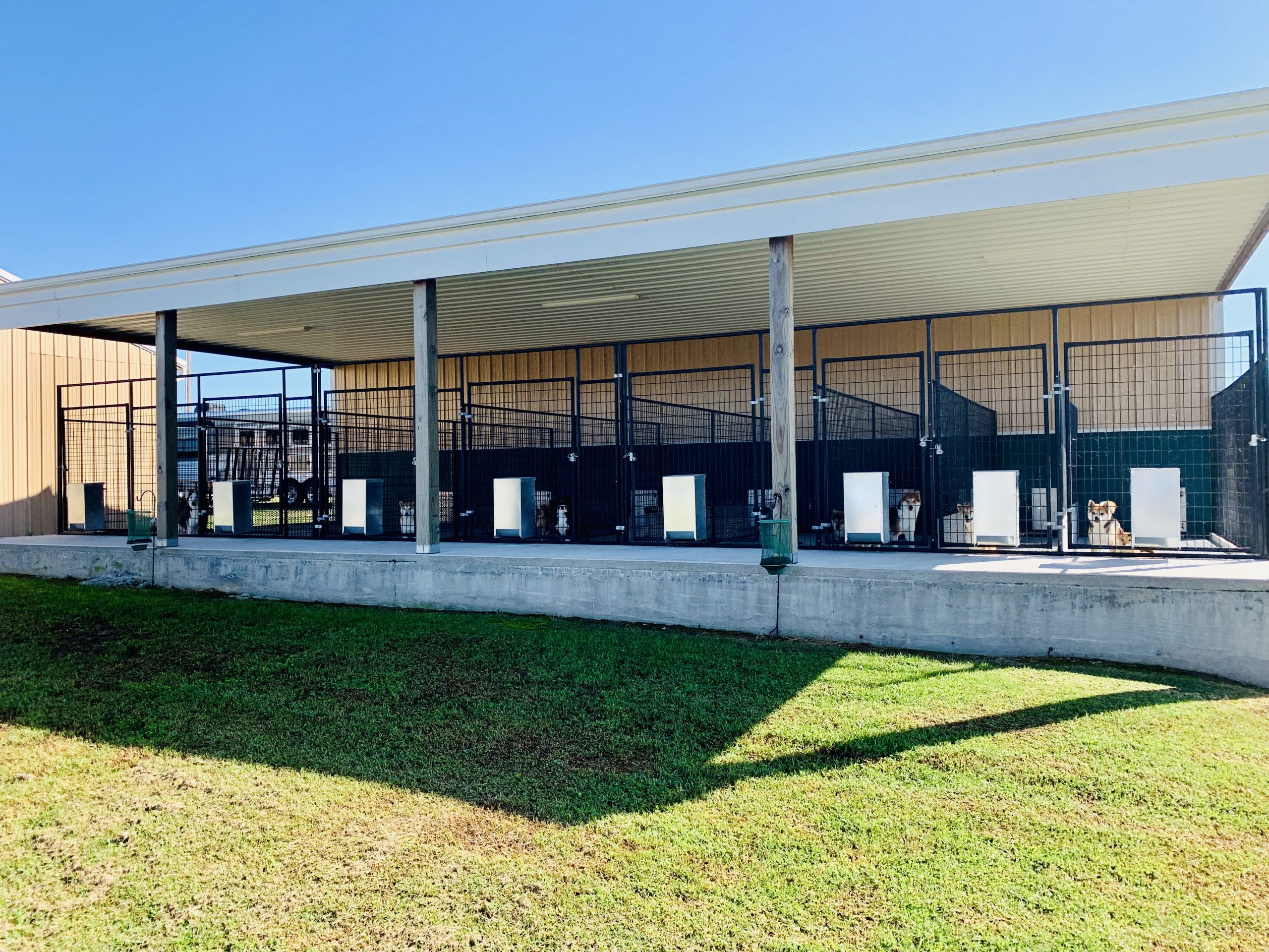 A view of Tim and Lisa's kennel