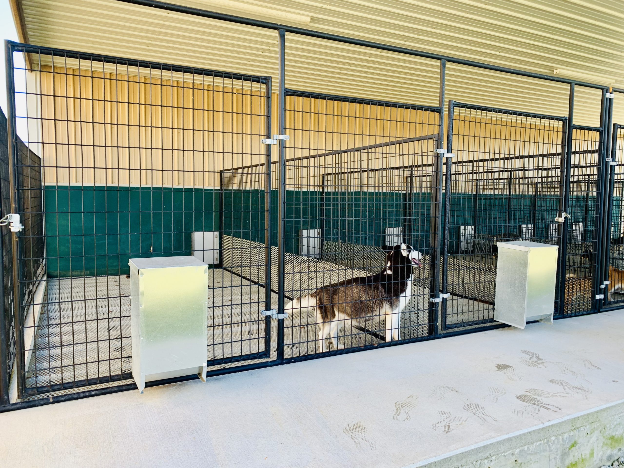 A view of Tim and Lisa's kennel