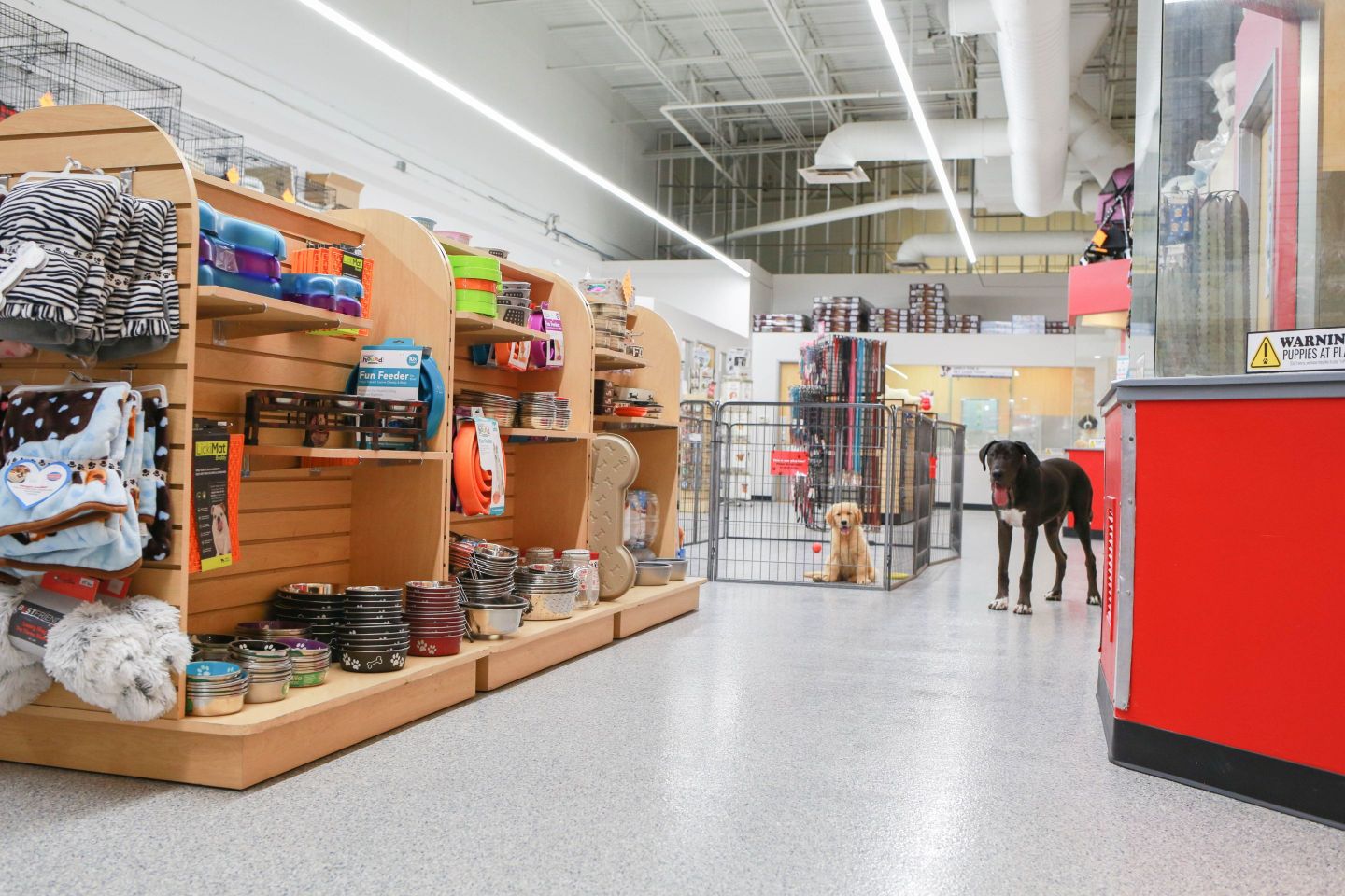 Our stores are one-stop-shops for taking home a furry family member