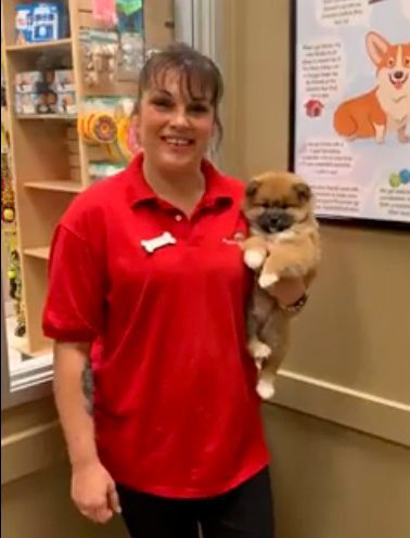 Store associate with a puppy