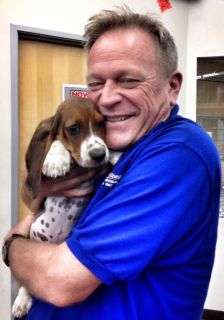 Employee gives a basset hound a big hug