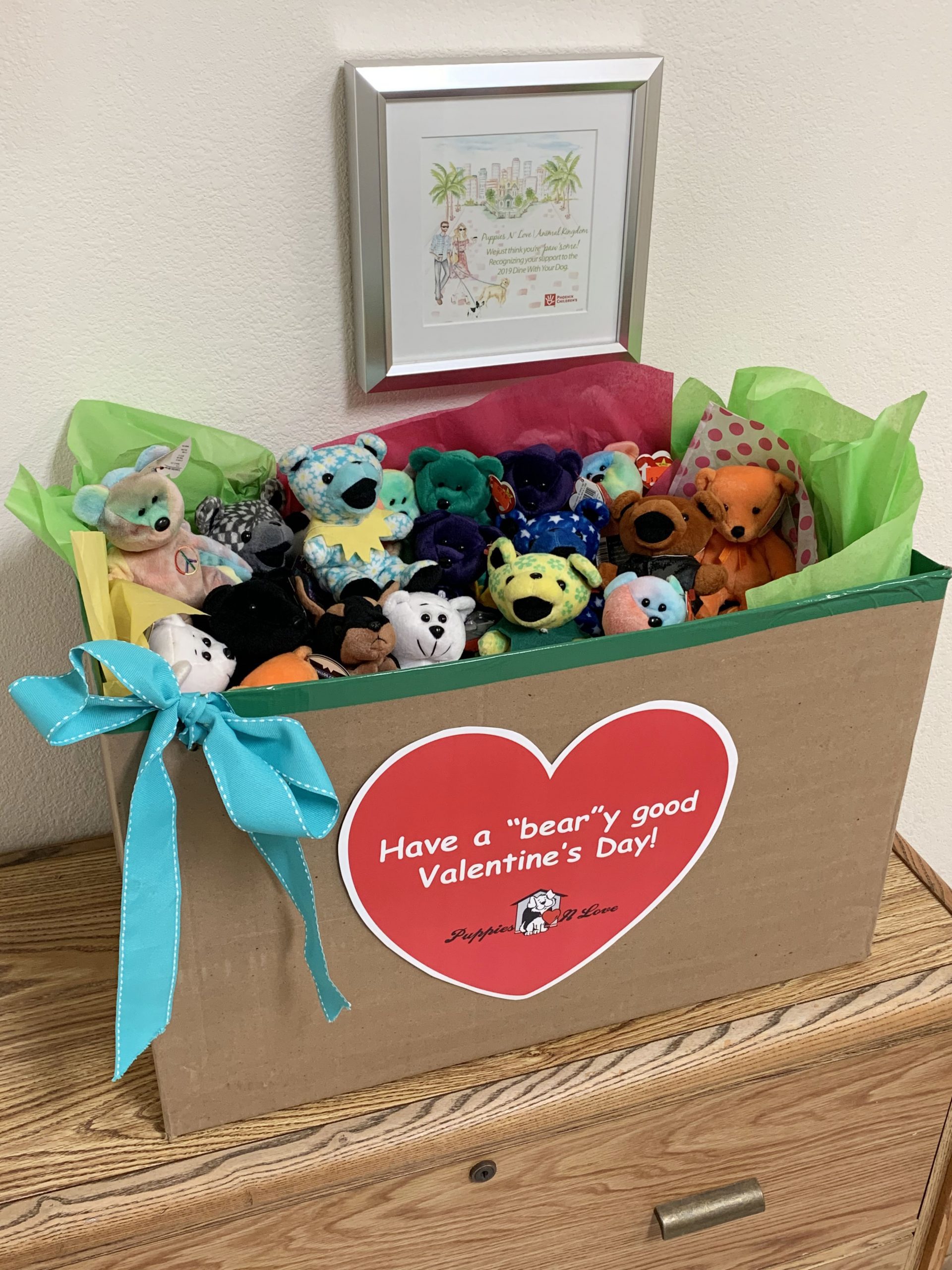 Beanie Baby Donation