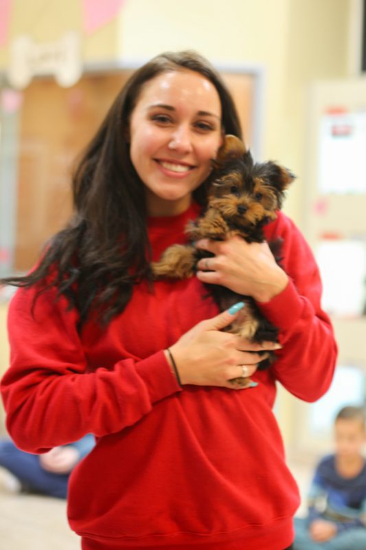 Customer socializes with a Yorkie at a Puppy Party